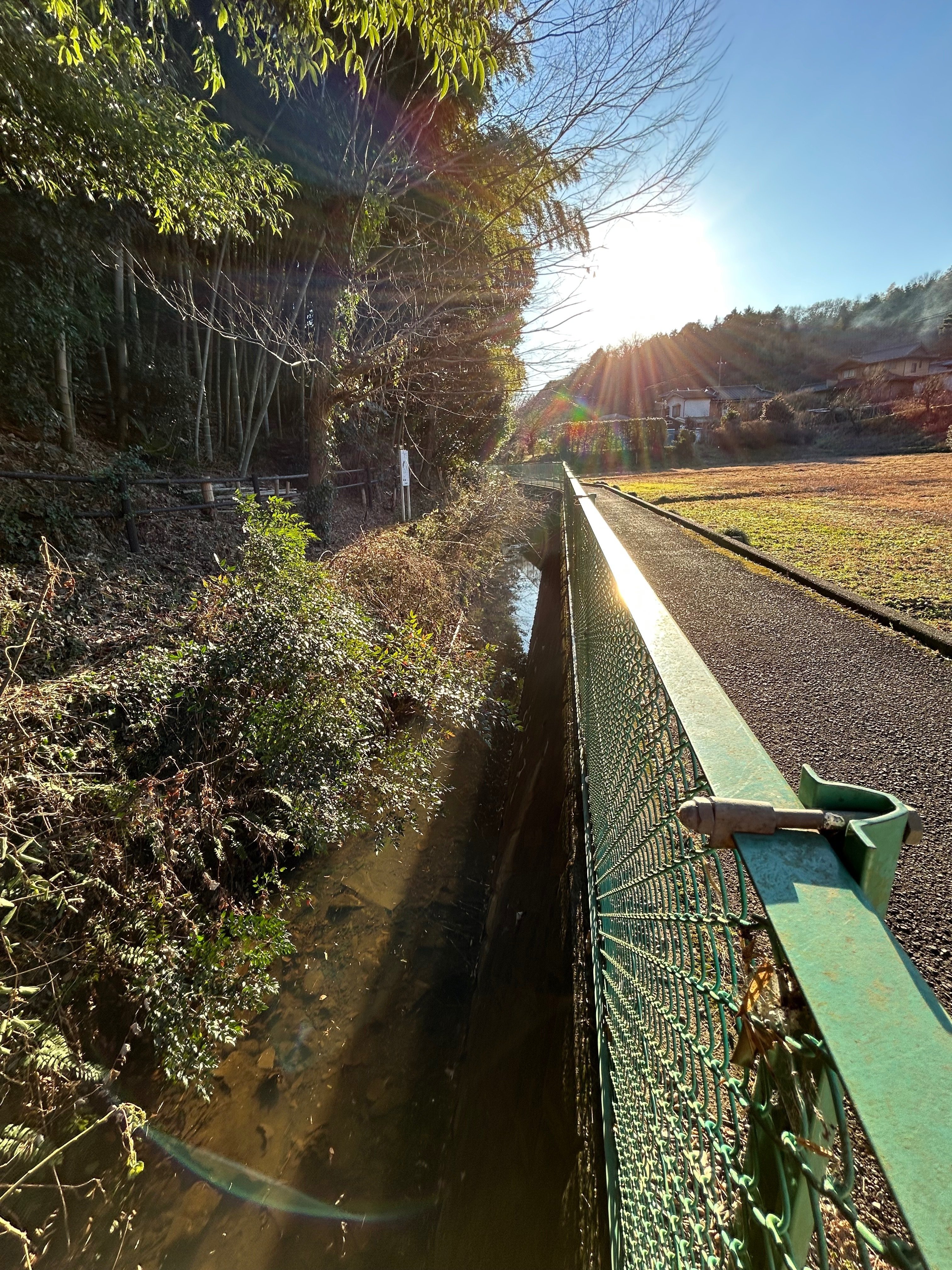 実践・散歩 2025年1月9日 岩川を遡る。246から国道16号線へ。カワセミ