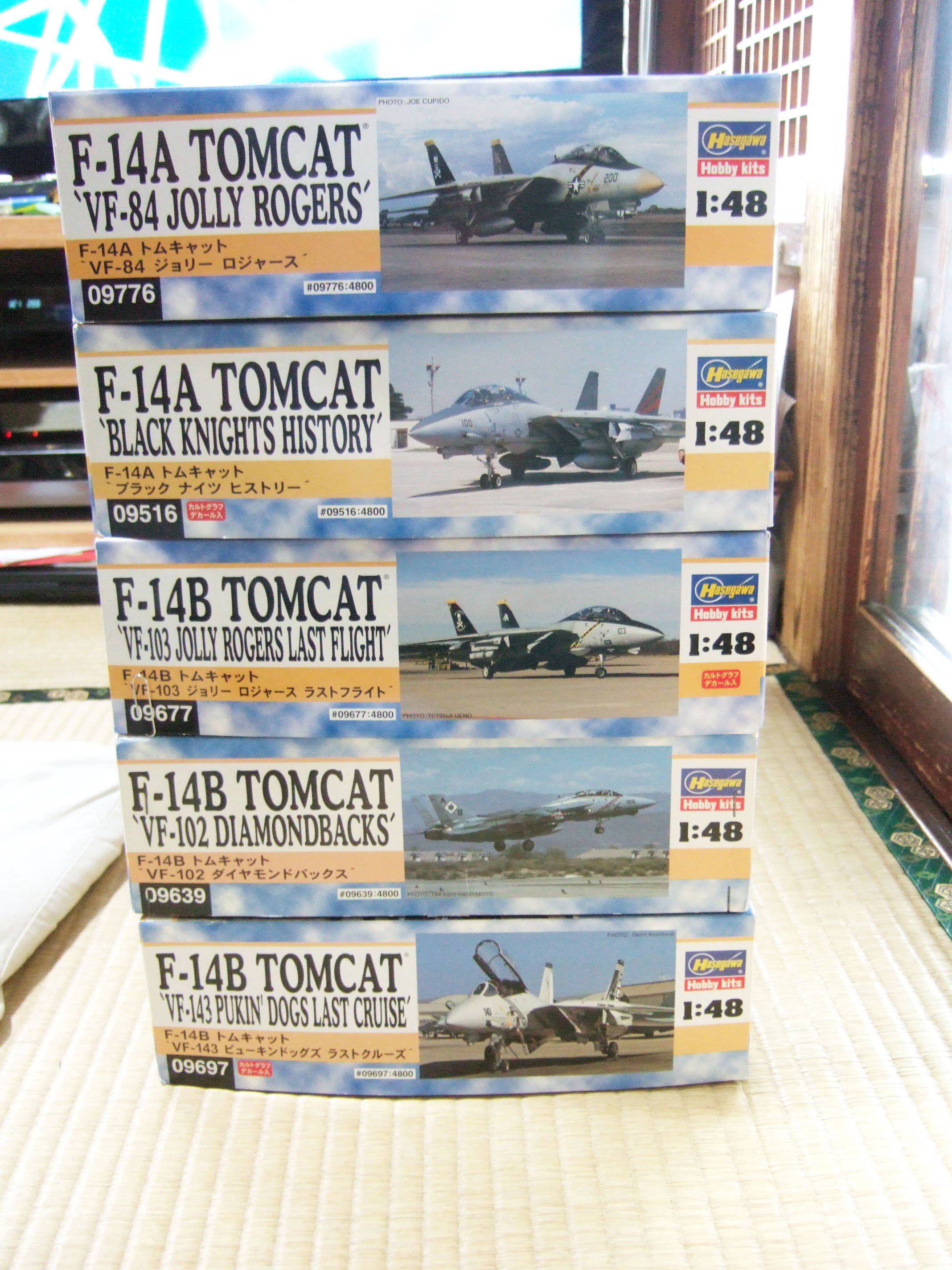 我が家のドラ猫界隈｜積みプラで詰んだAKI