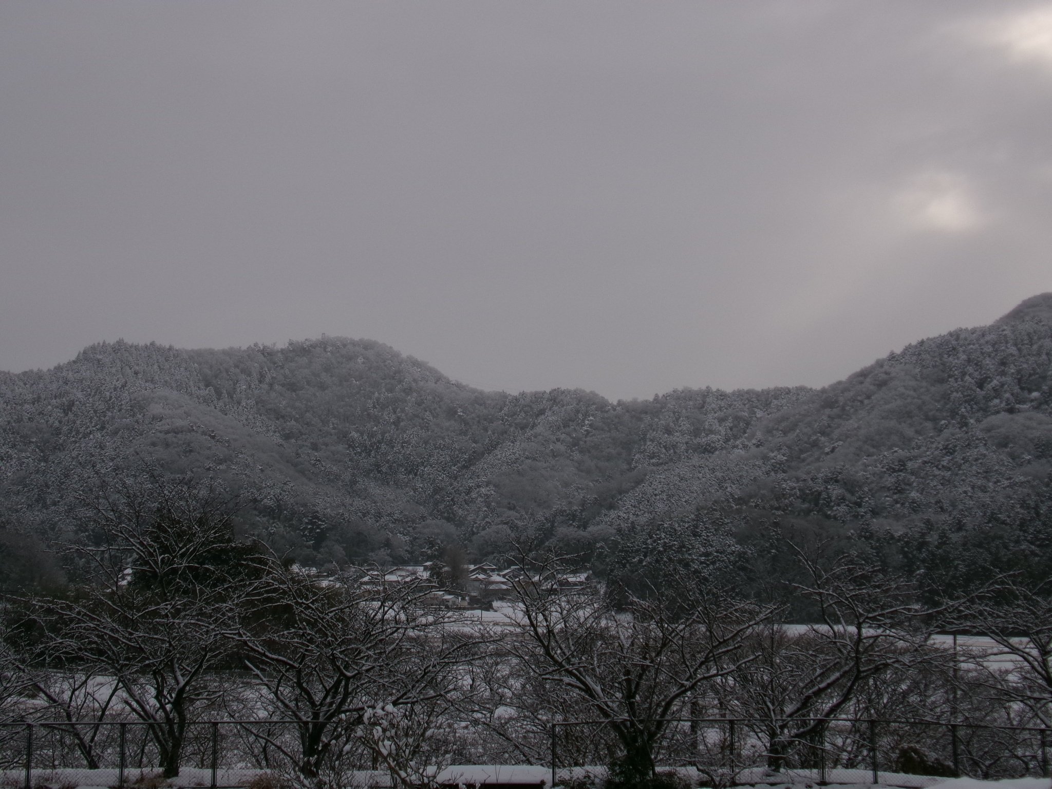 新雪が積もった三連休初日 神田山、中池見湿地、刀根から余呉の雪景色