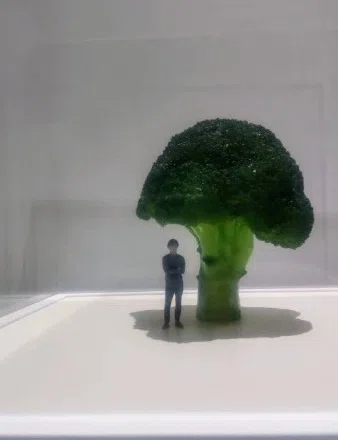365日色の話 「ひよっこ」のタイトルバックの「田中達也作品」製作