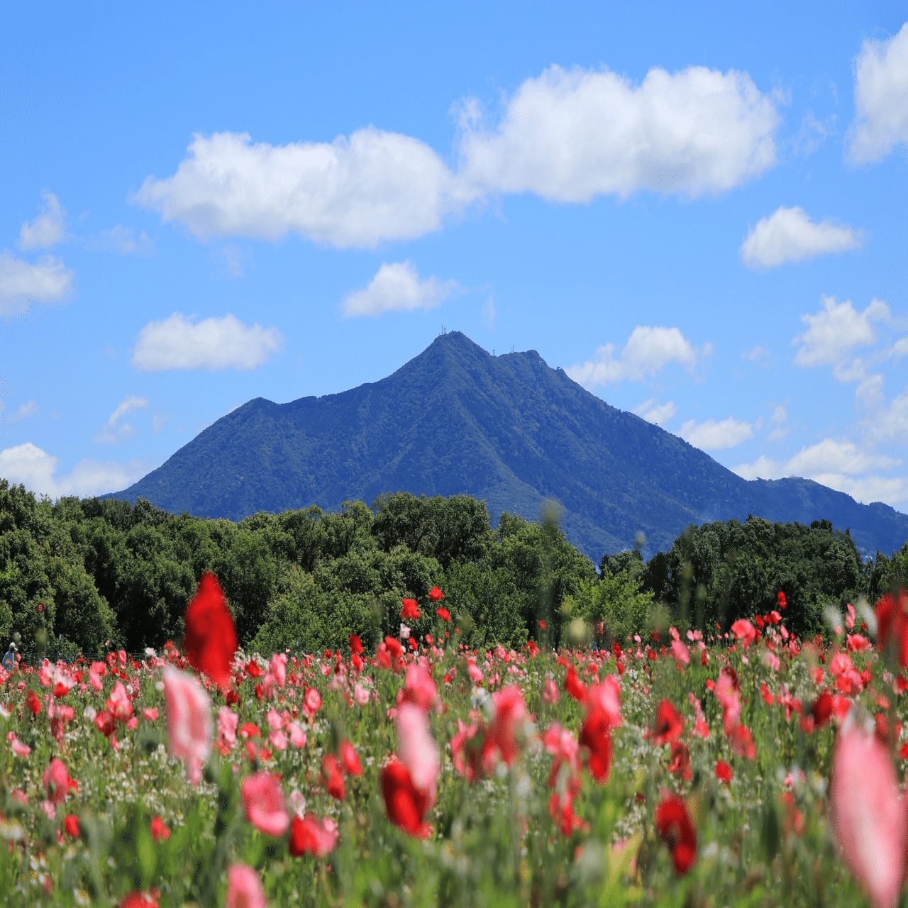 山の心得】～百名山を狙おう編～｜ミズ
