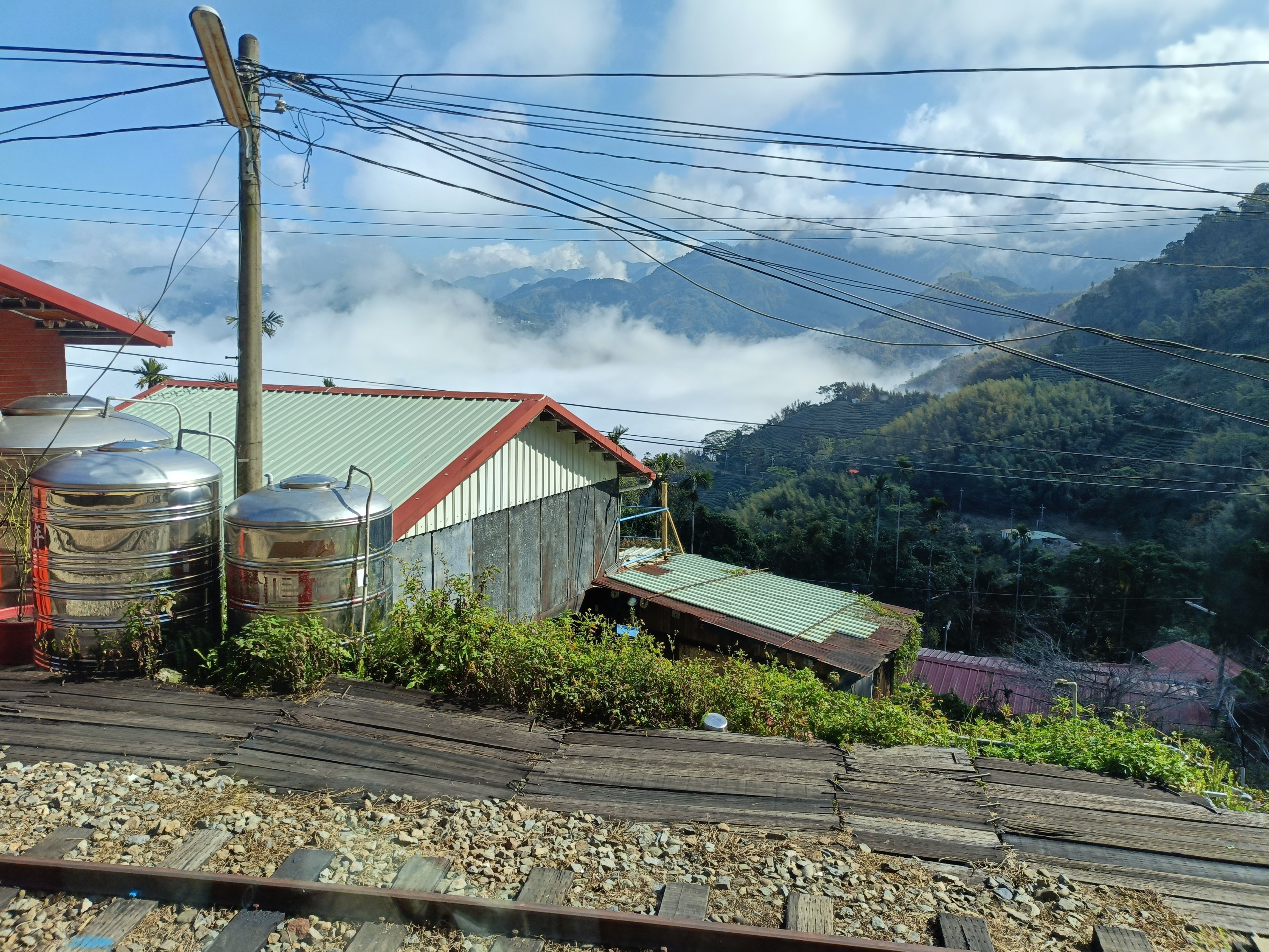 阿里山森林鉄道、乗車記(年末年始台湾旅その2)|こんふ 阿里山森林鉄道、乗車記(年末年始台湾旅その2)|こんふ