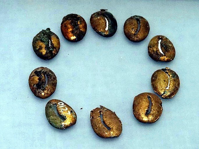 中国貝貨　紀元前1500年頃　古銭　貨幣　アンティークコイン　出土　縄文　石器 中国貝貨 紀元前1500年頃 古銭 貨幣 アンティークコイン 出土