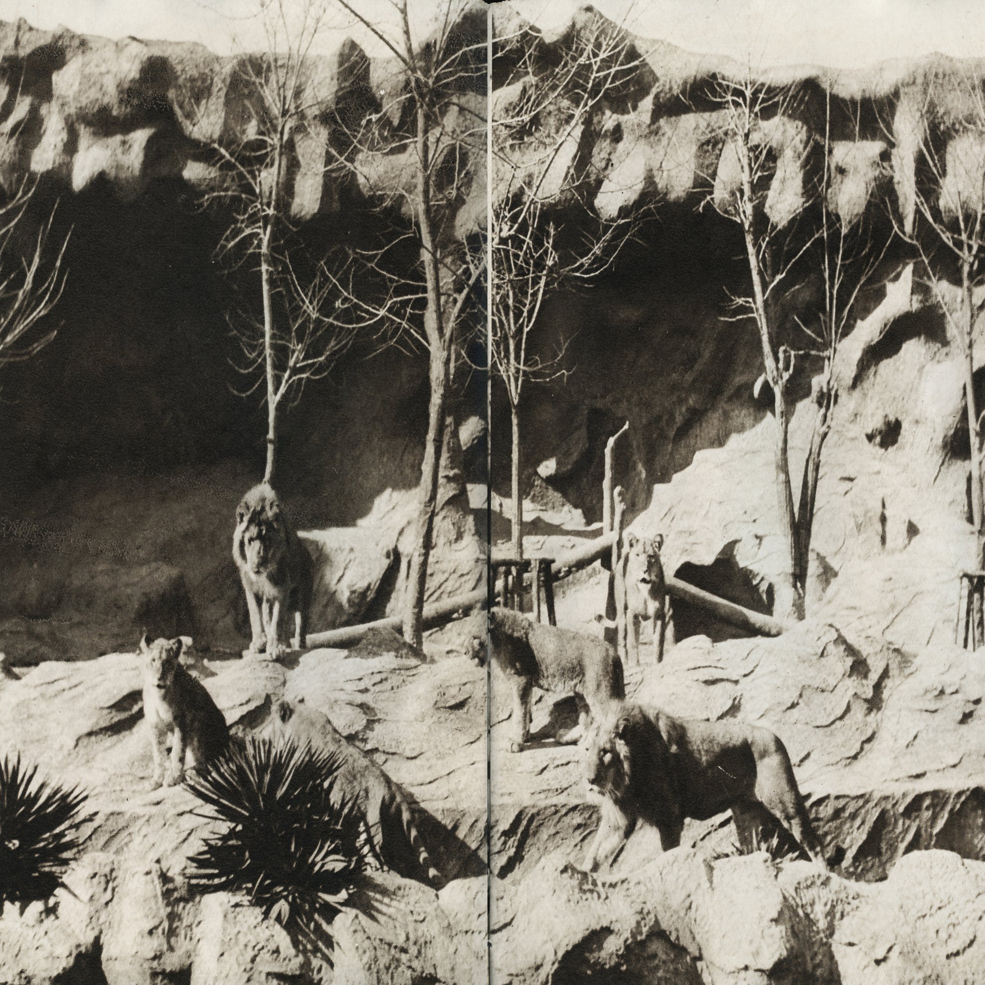 第３章 動物たちの死を見つめる｜三上右近, image size:2000x1456