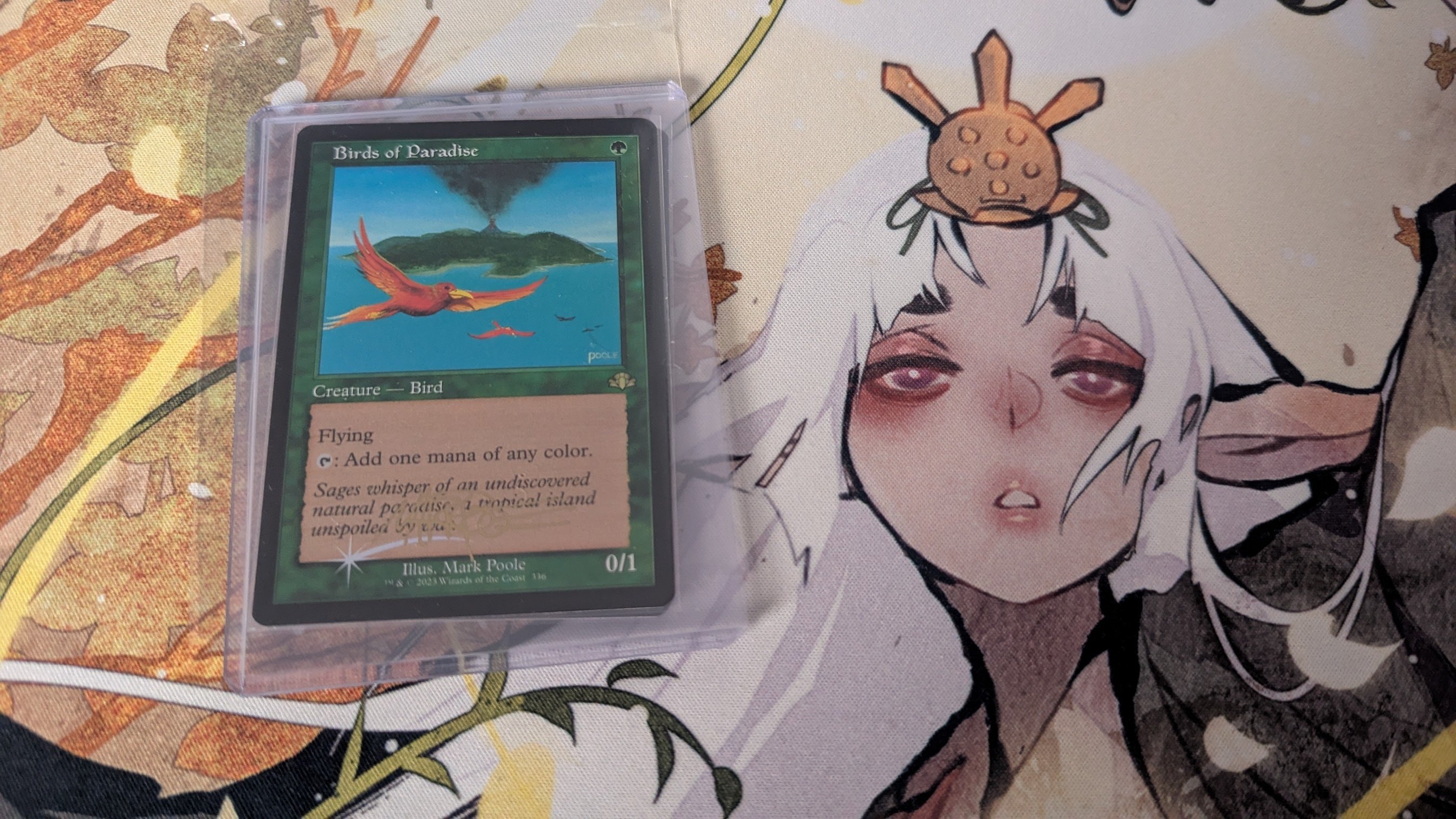 2025年 MTGオーダー福袋開封（TCG専門店 Arcanaさん）｜しかの