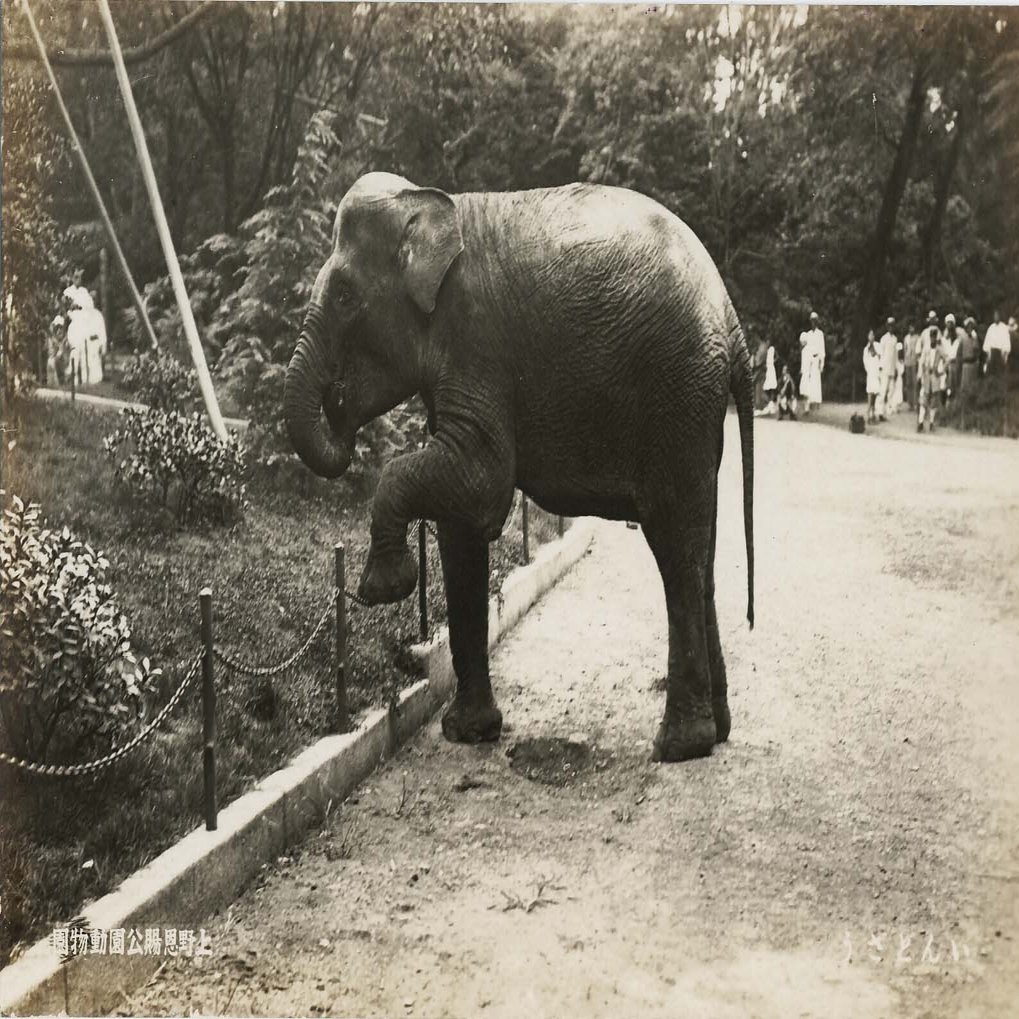 第３章 動物たちの死を見つめる｜三上右近, image size:1588x1019