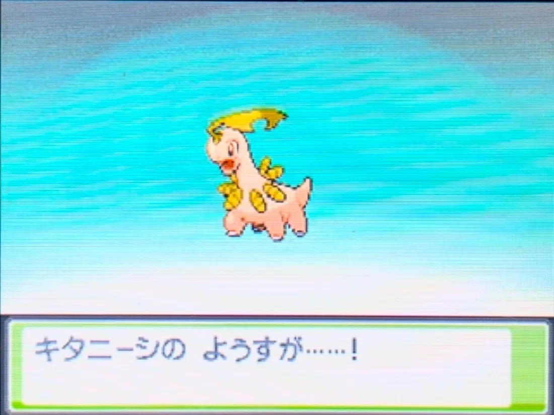 HGSSの色厳選報告⑤｜くまちゃんのポケモン日記