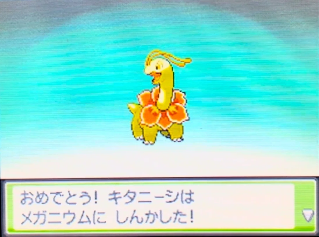 HGSSの色厳選報告⑤｜くまちゃんのポケモン日記