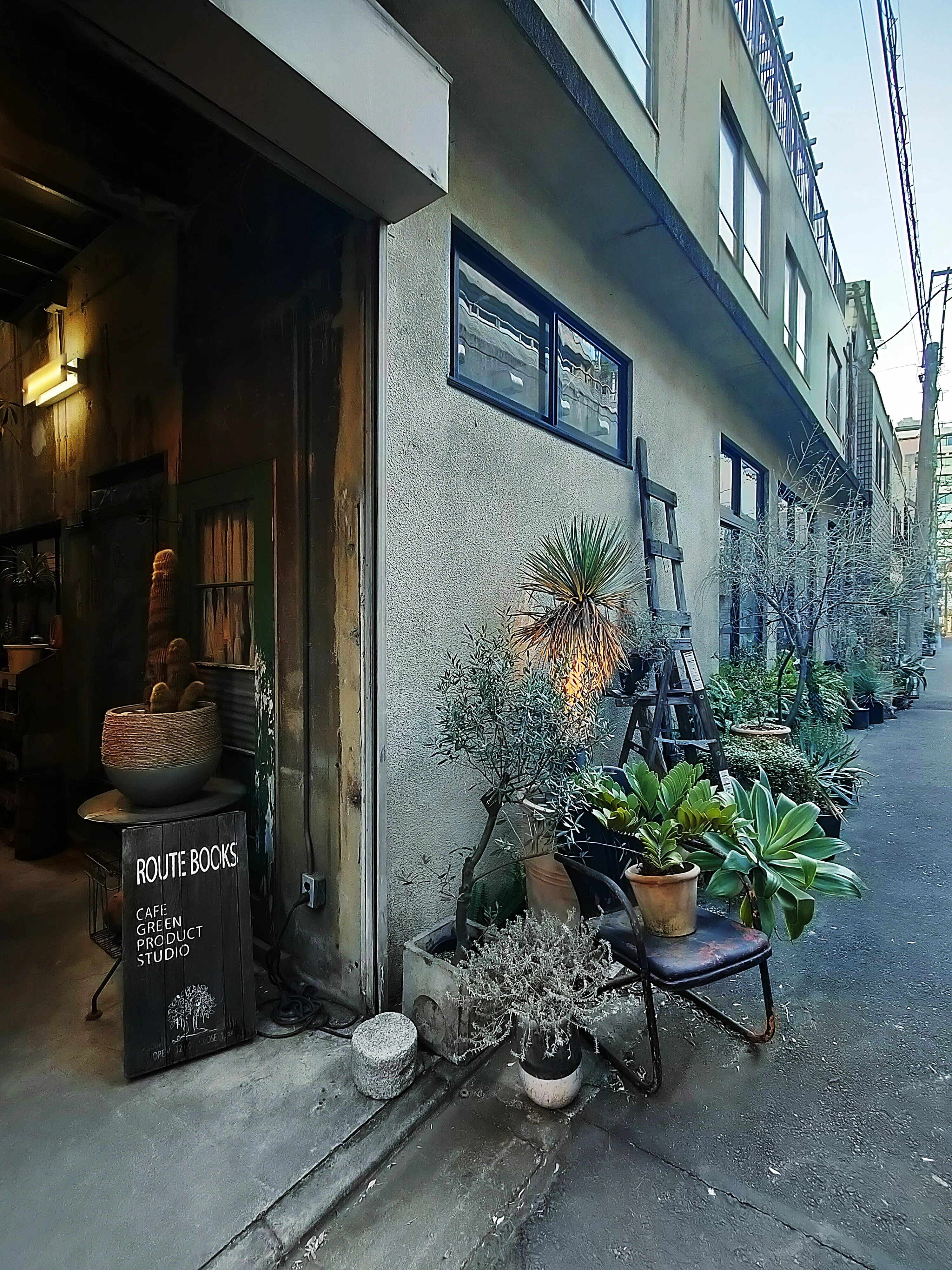 本屋散歩5軒「下町の本屋でチルする」＠上野→浅草→蔵前｜Nuts Book Stand