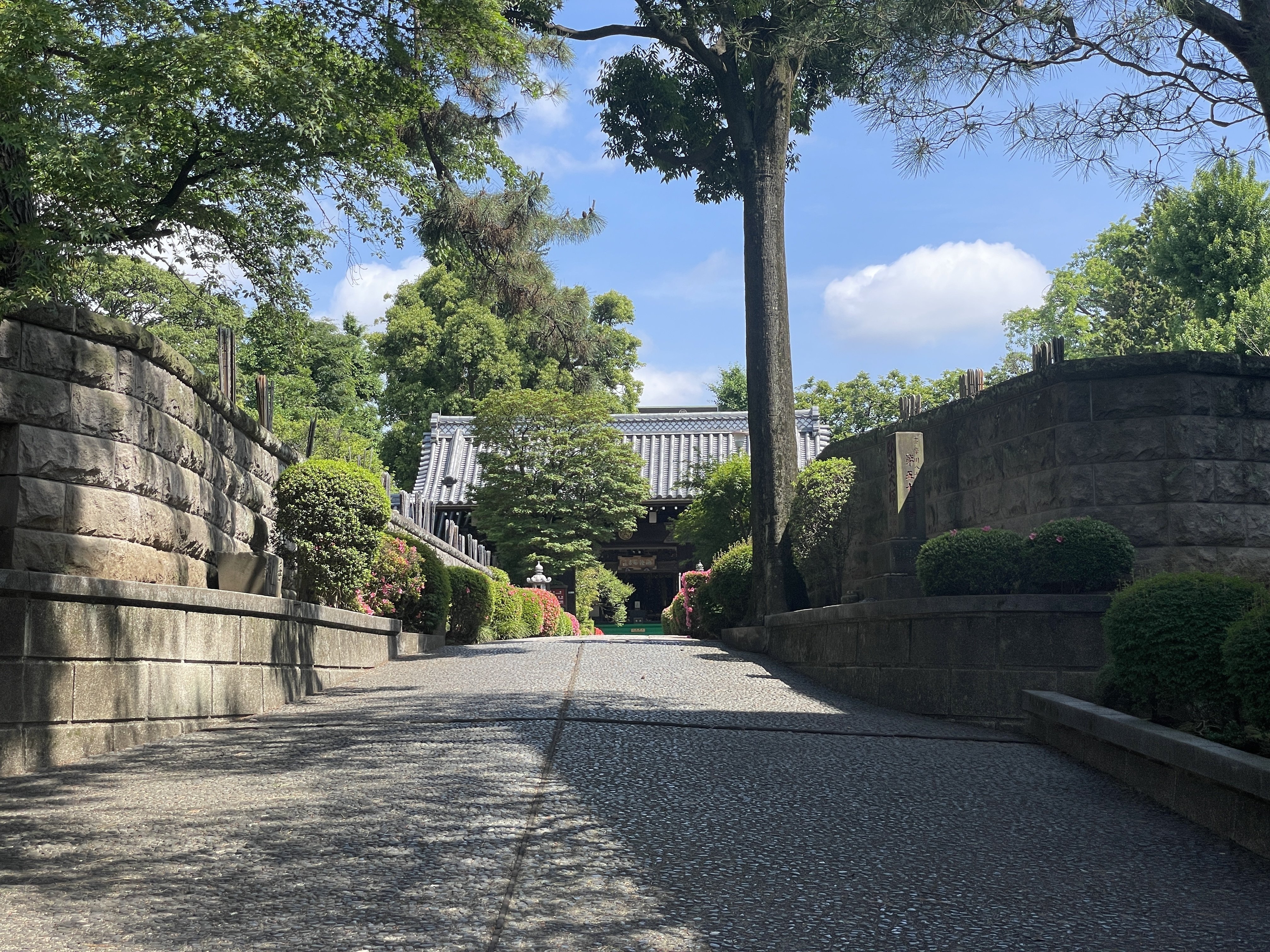 阿波淡路國蜂須賀家25万7千石左万字御家紋入江戸時代
