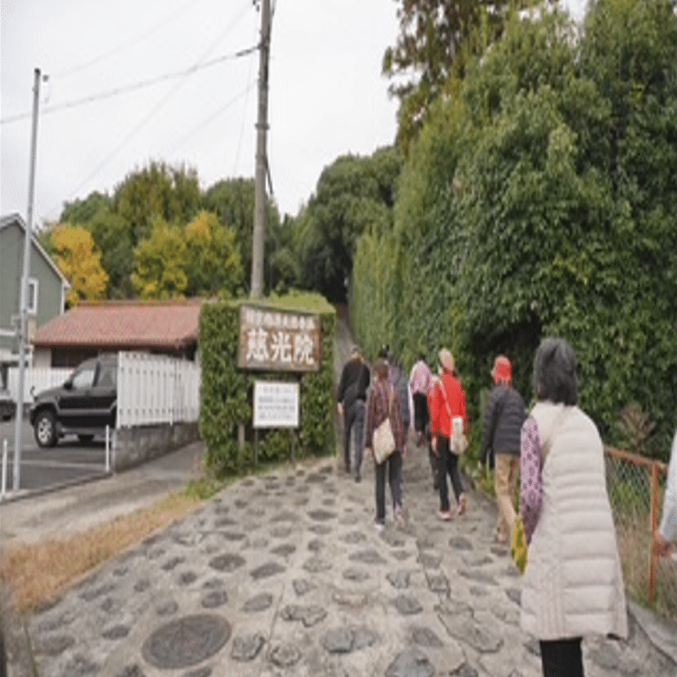 大和高取城 2001 これを知ると今治城はもっと面白い！町中に見る城の名残／（愛媛県今治