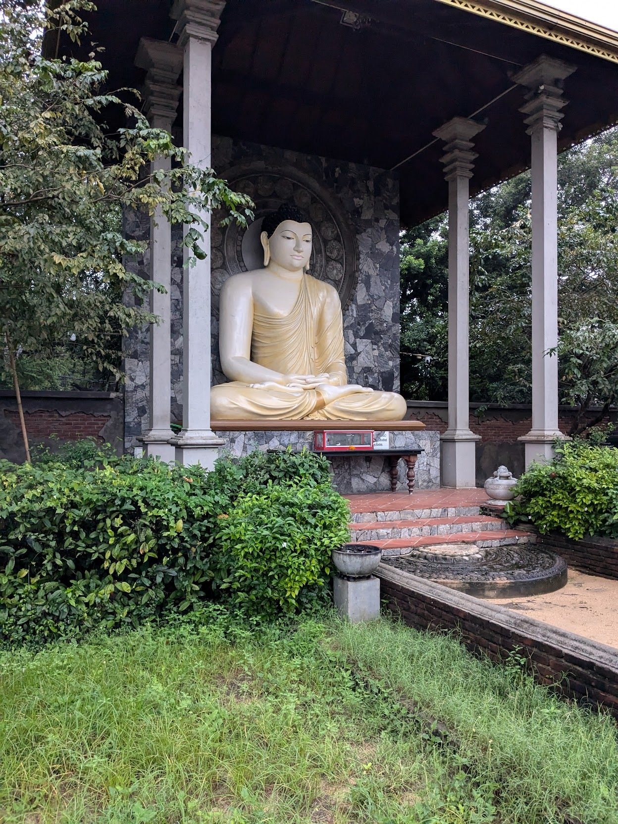 スリランカひとり旅2024年冬①：スリランカ入国、ダンブッラ編｜osushi