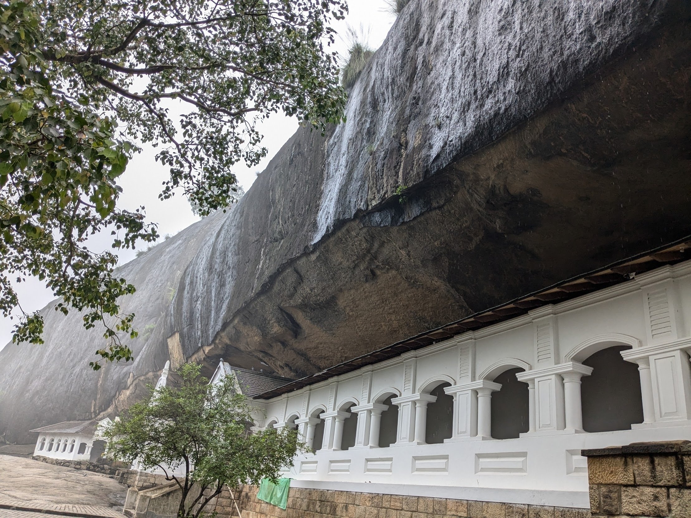 スリランカひとり旅2024年冬①：スリランカ入国、ダンブッラ編｜osushi