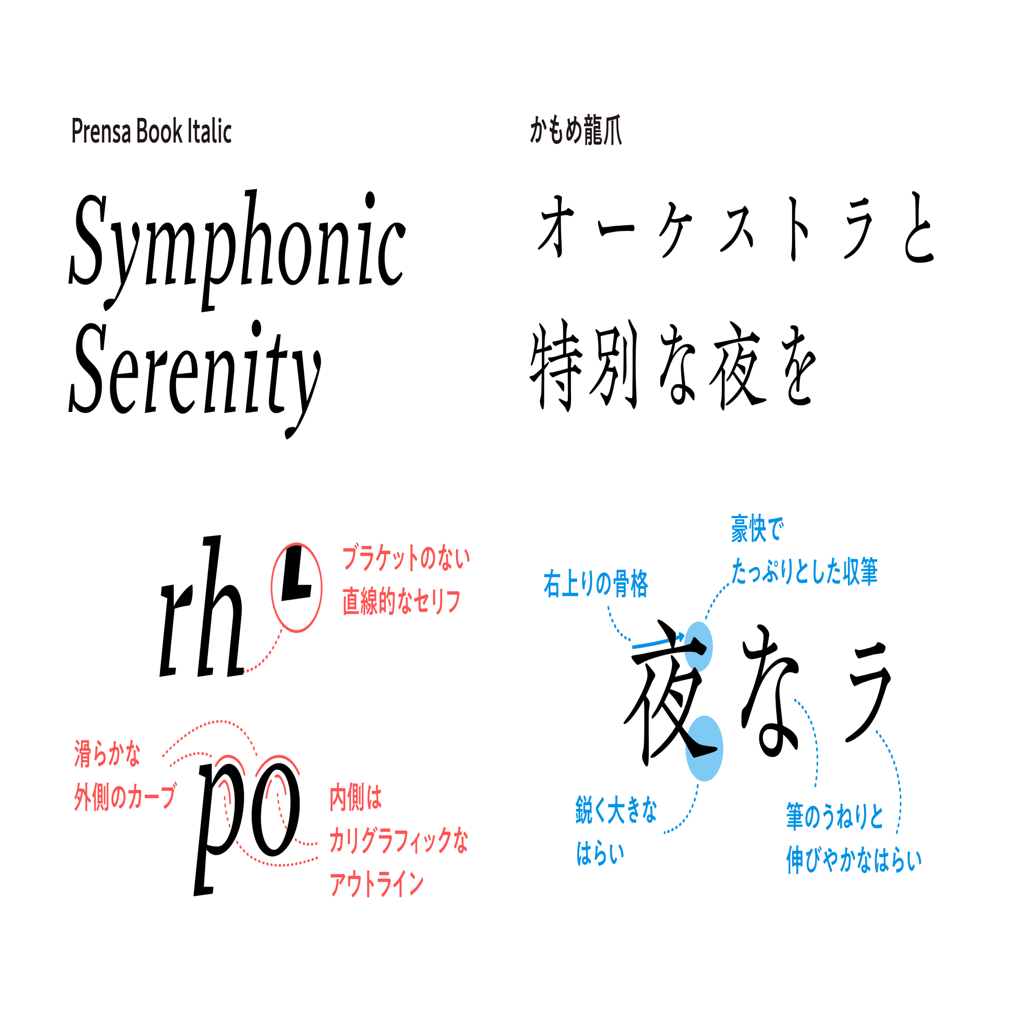 サンプルあり】欧文書体ってどうやって選ぶの？Occupant Fonts