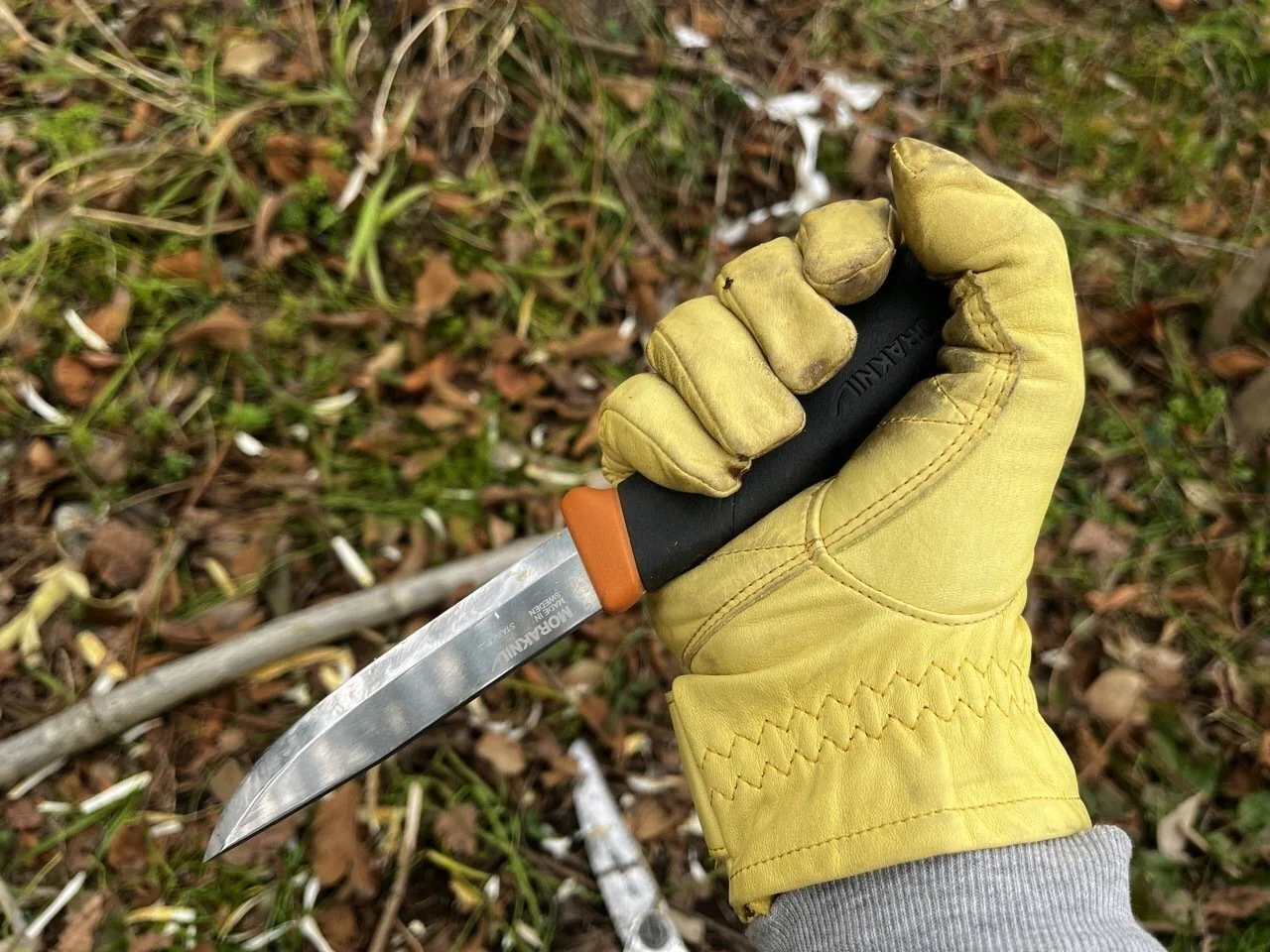 Stainless or Carbon?] I compared the Morakniv Companion Heavy Duty