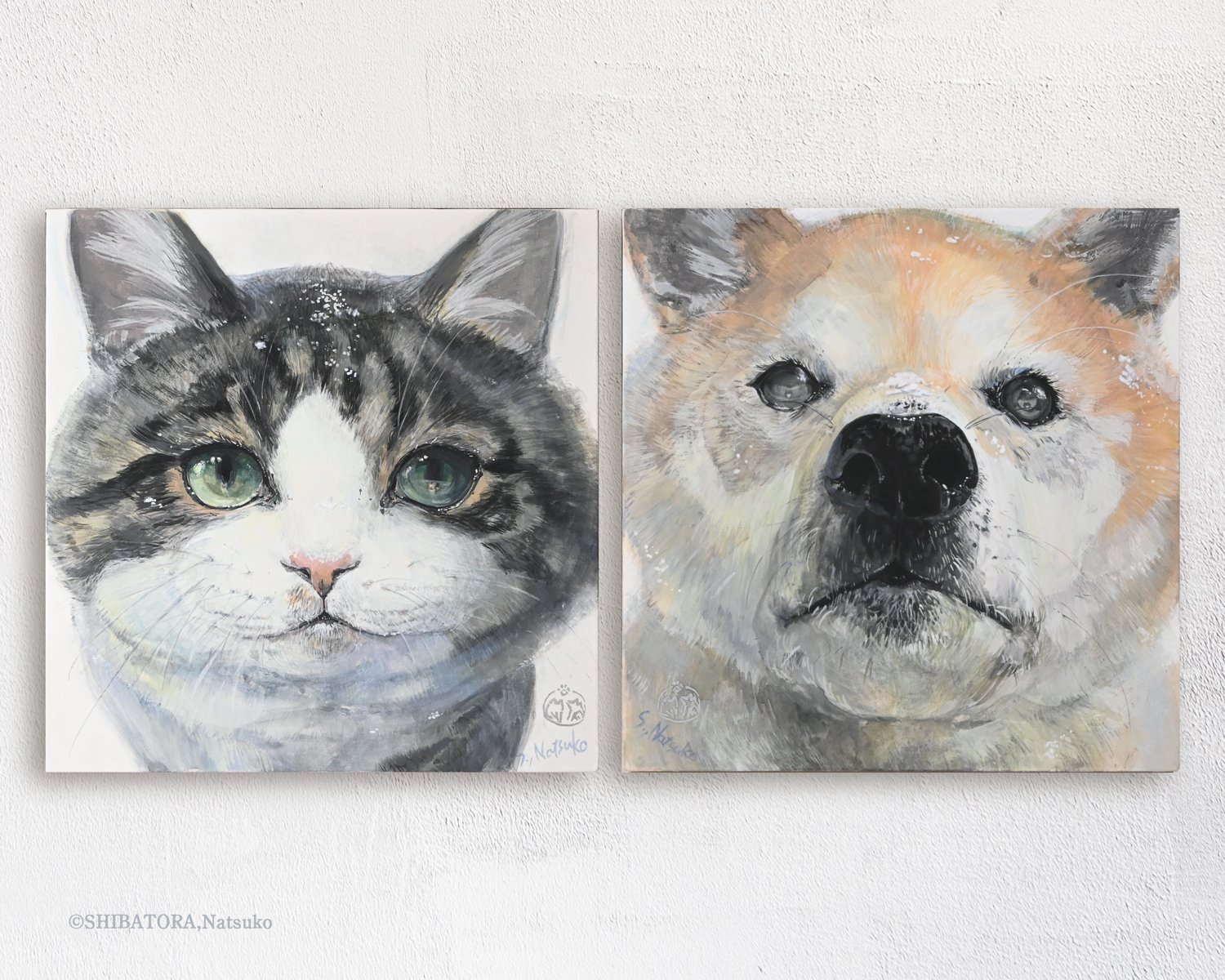 人間の作る世界が大好き】 柴トラ夏子 インタビュー｜Picaresque Art