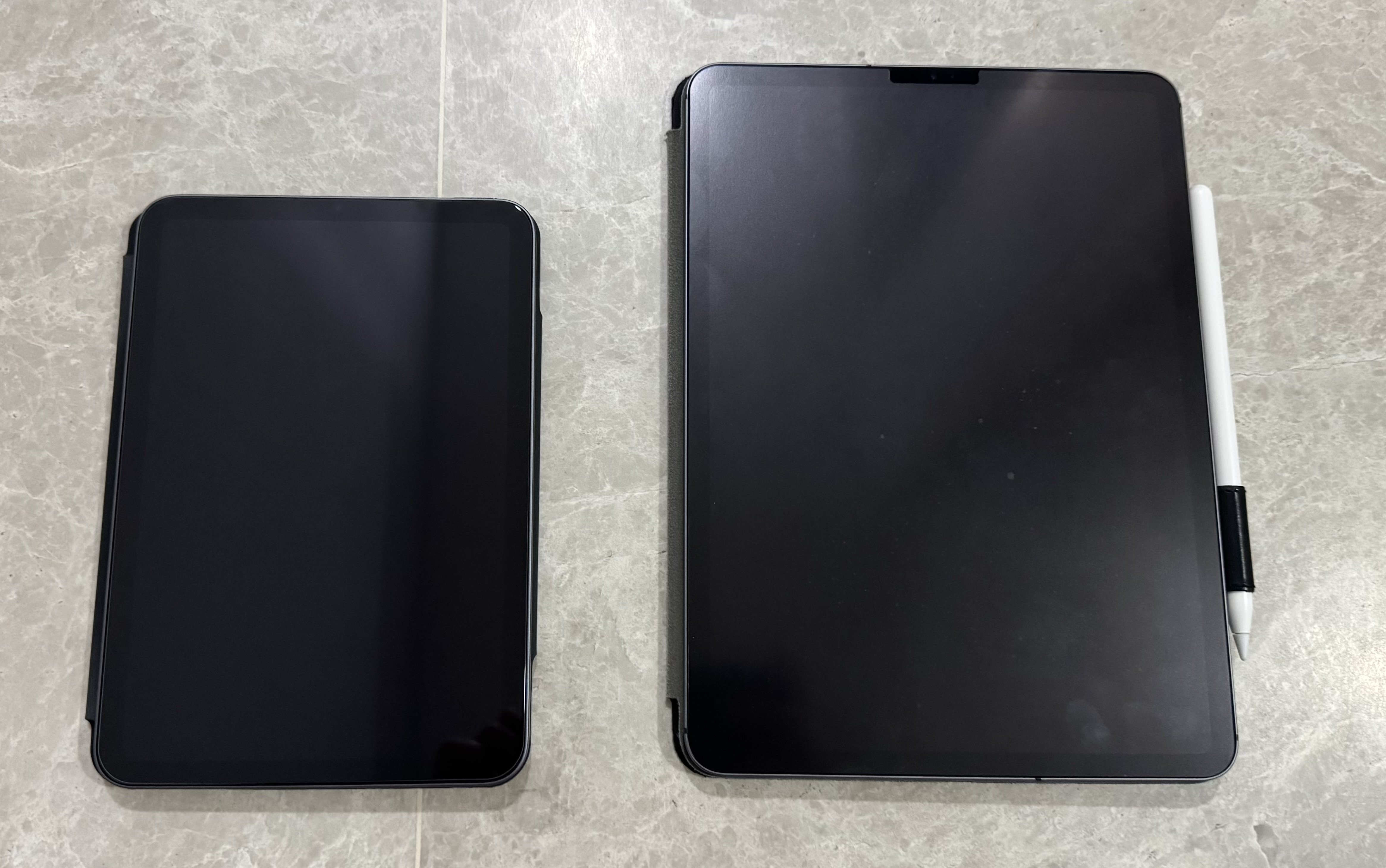 Every Pad Pro 、iPad mini第1世代 2台セット！