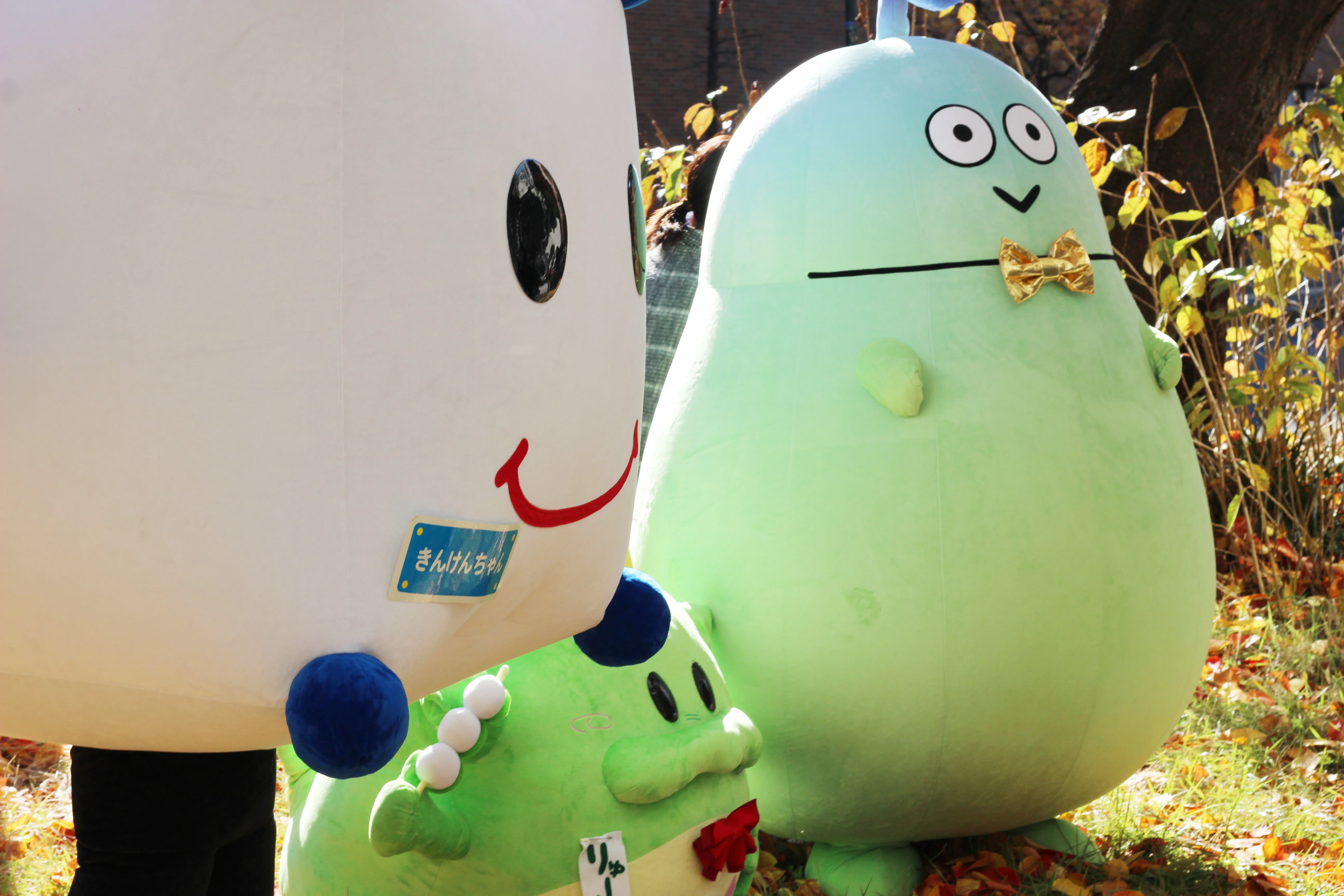 東北大学マスコット　研一くん　2種セット×2 東北大学マスコット研一くん2種セット×2