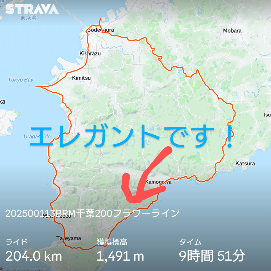 優雅に優雅にエレガント【BRM113千葉200】改｜せくたむさん👼