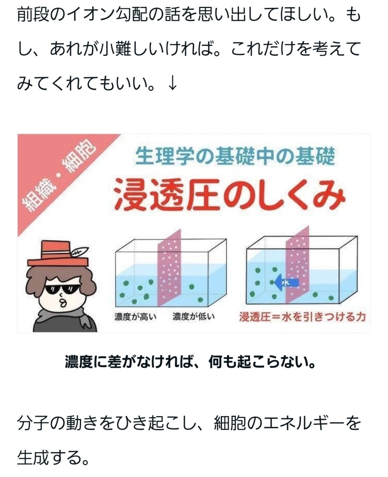 canone 癒しを知る日のパールニット Maison de FLEUR - 【canone】癒しを知る日のパールニット【神田