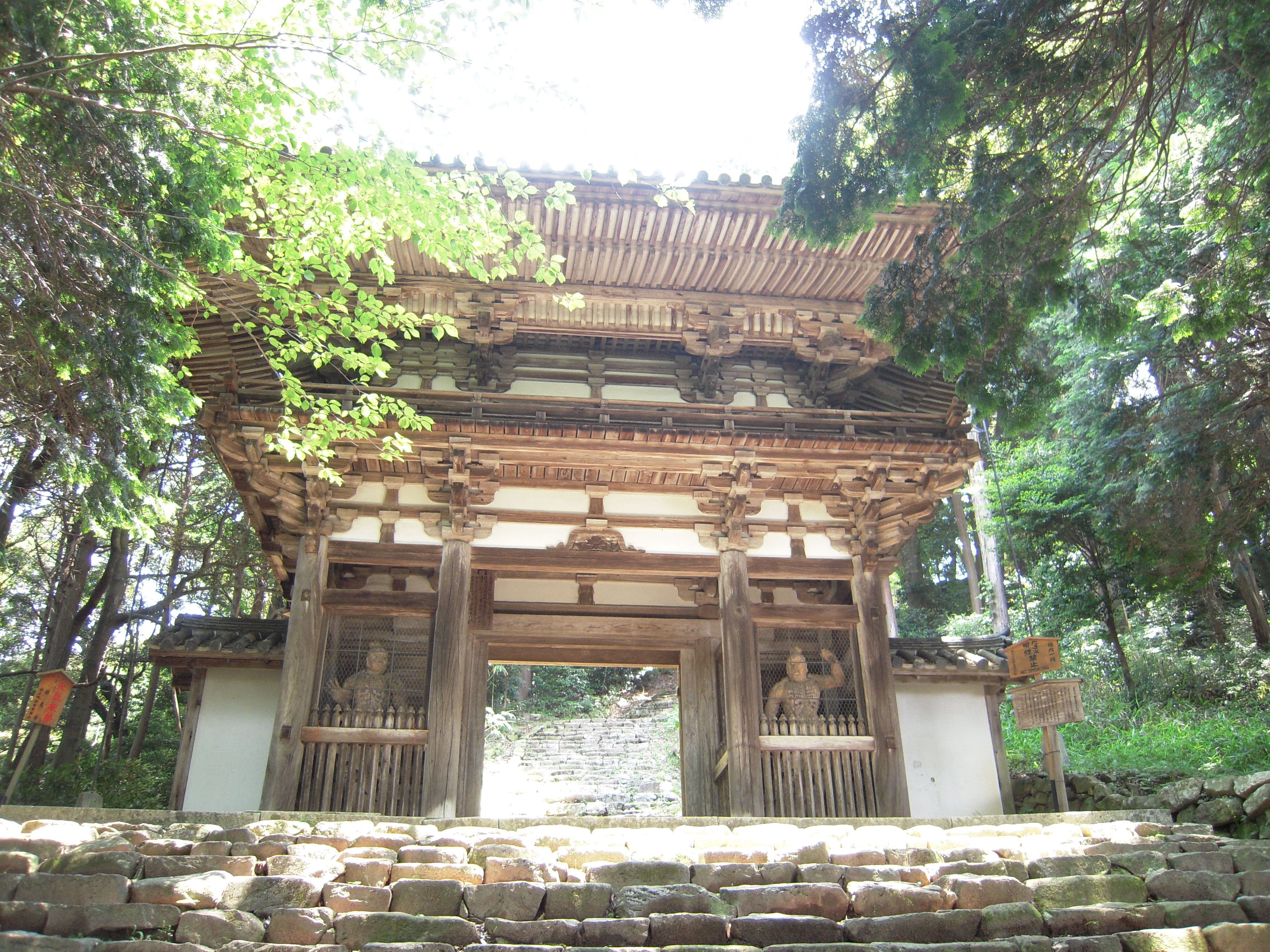 8 戦国時代に興味を持ったきっかけは、この城だった。発掘調査で整備