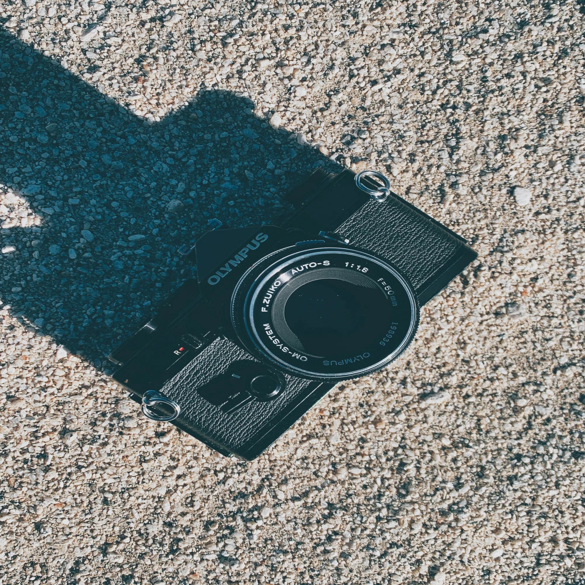 フィルムカメラと冬-OLYMPUS OM-1【作例あり】｜散財くん