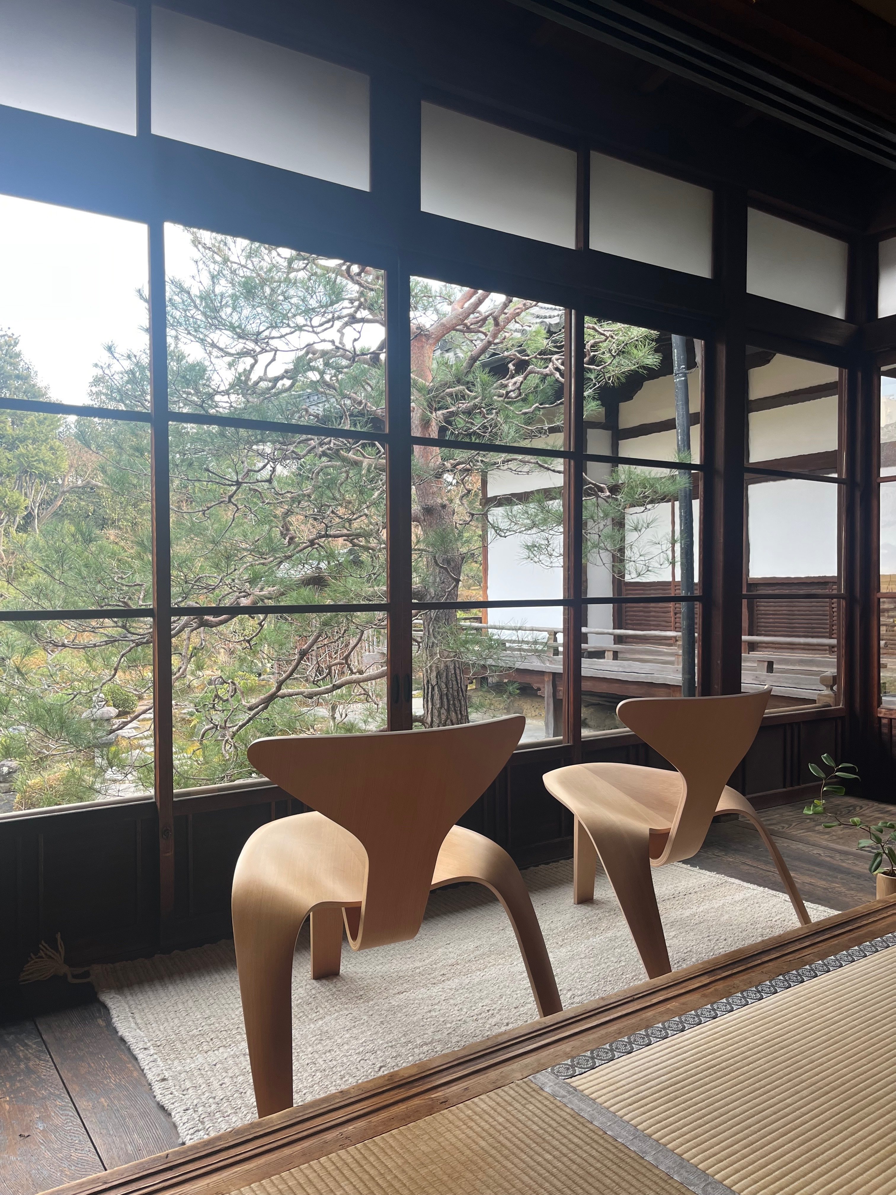 新品未開封　5点コンプリートセット　ポールケアホルム　ポスター 新品未開封 5点コンプリートセット ポールケアホルム ポスター