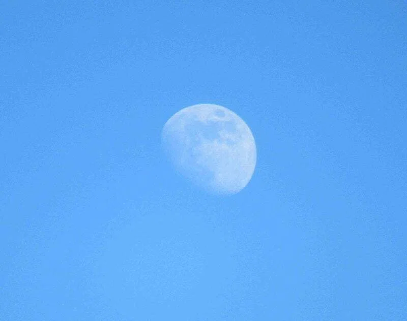 今日の俳句 寒の月|重翁
