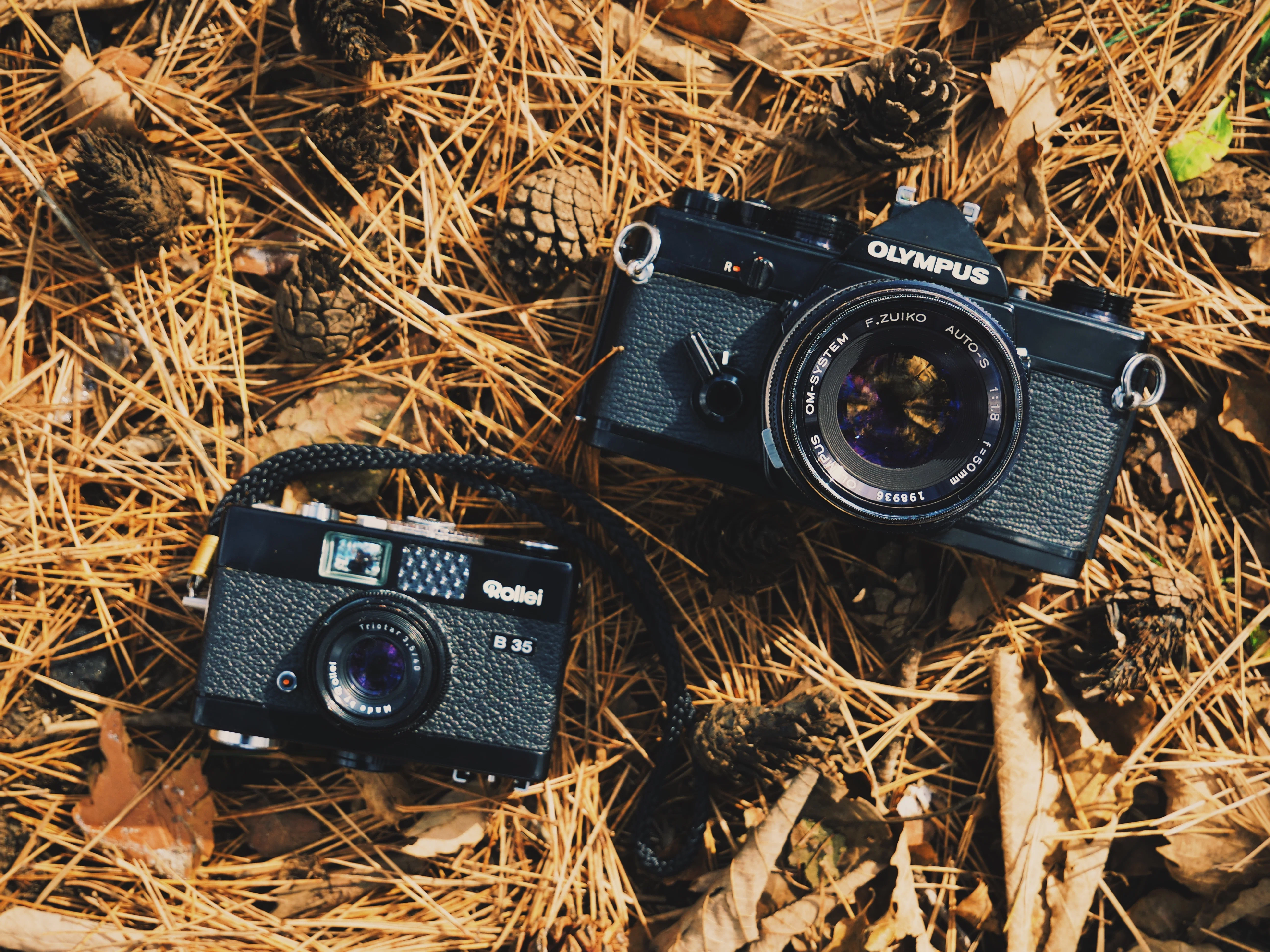 フィルムカメラと冬-Rollei B35【作例あり】｜散財くん