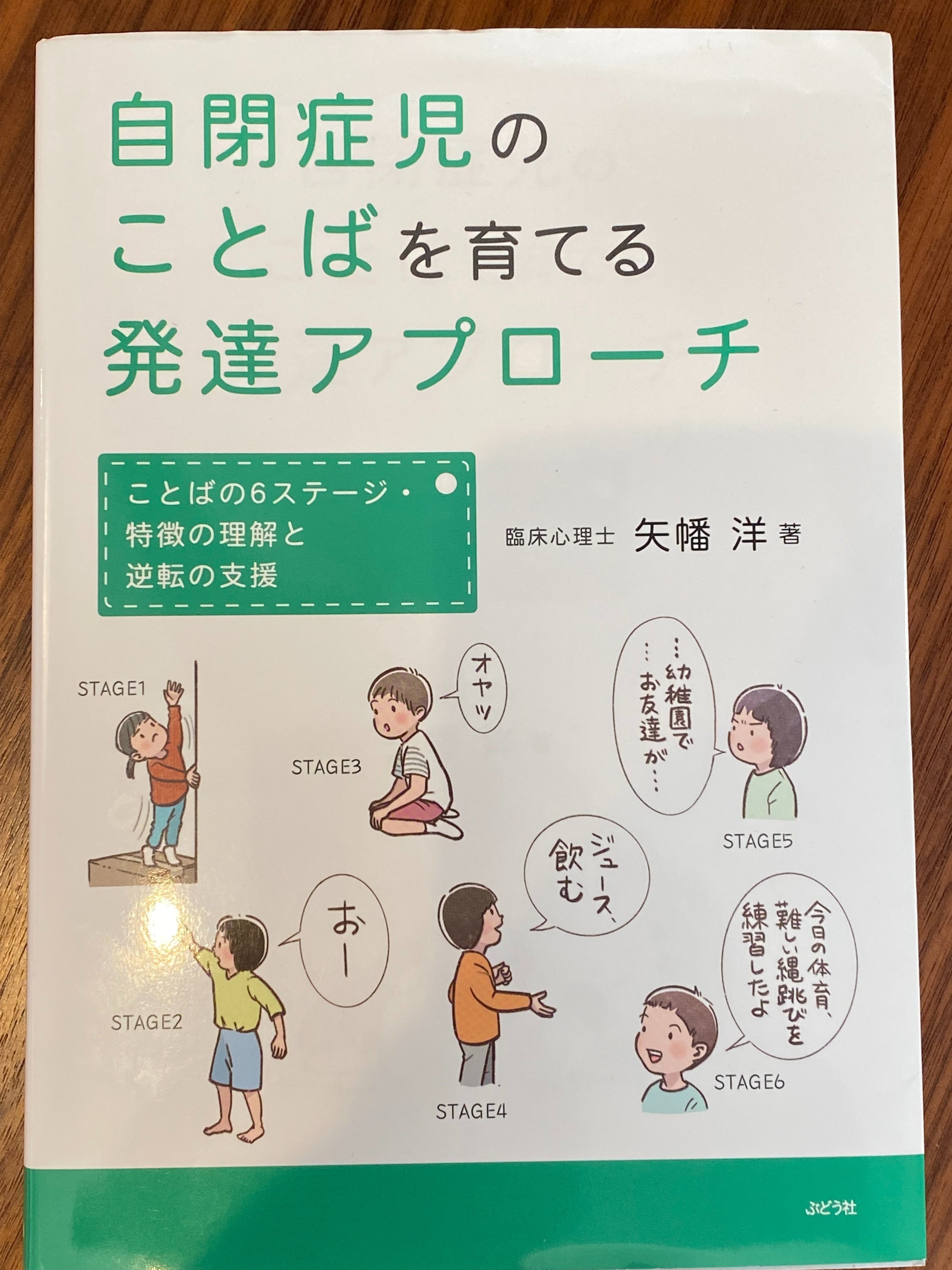 自閉症児のことばを育てる発達アプローチ』｜発達障害の専門家 撹上雅彦
