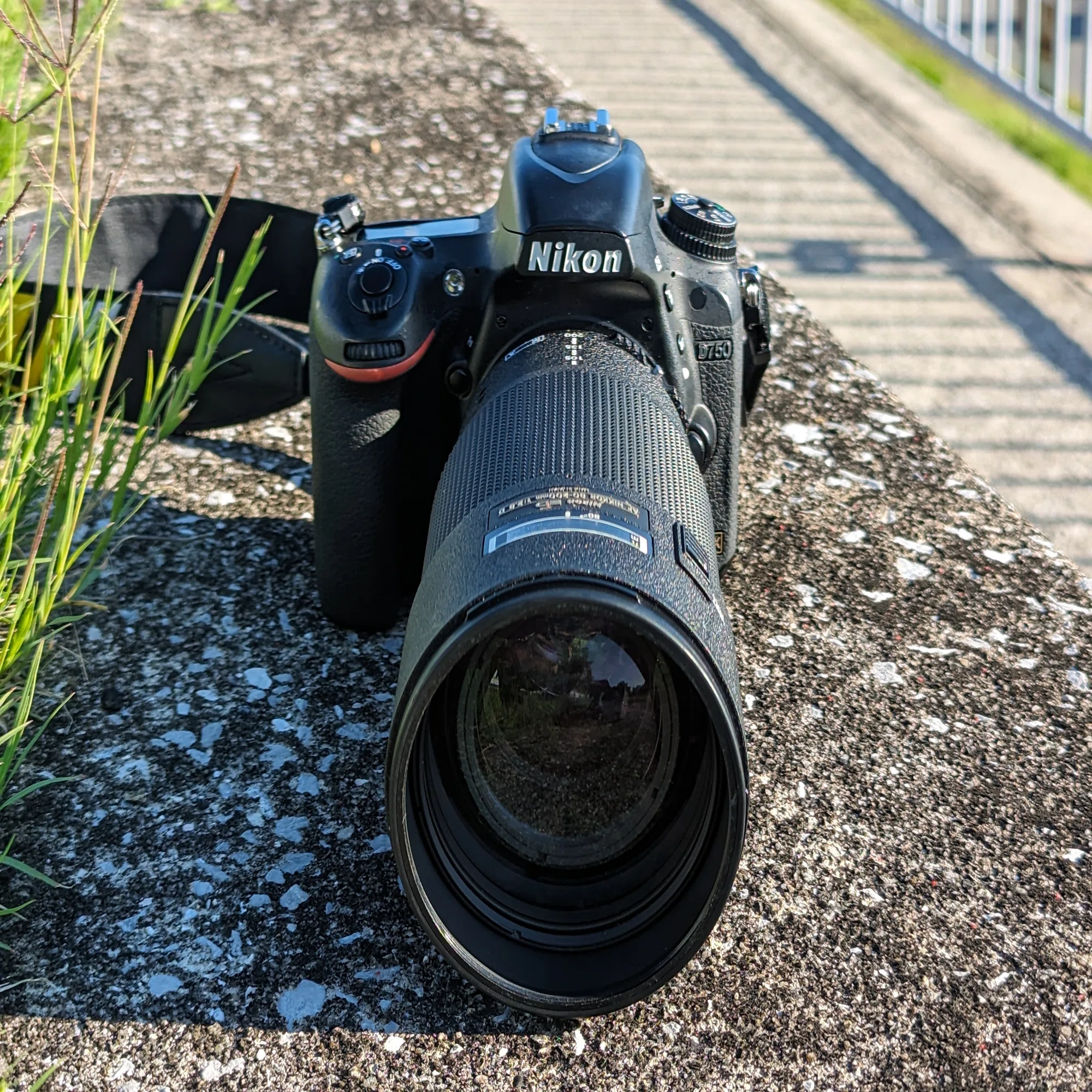 レビュー NIKKOR Ai AF 80-200mm F2.8 D ED｜ヮ虫