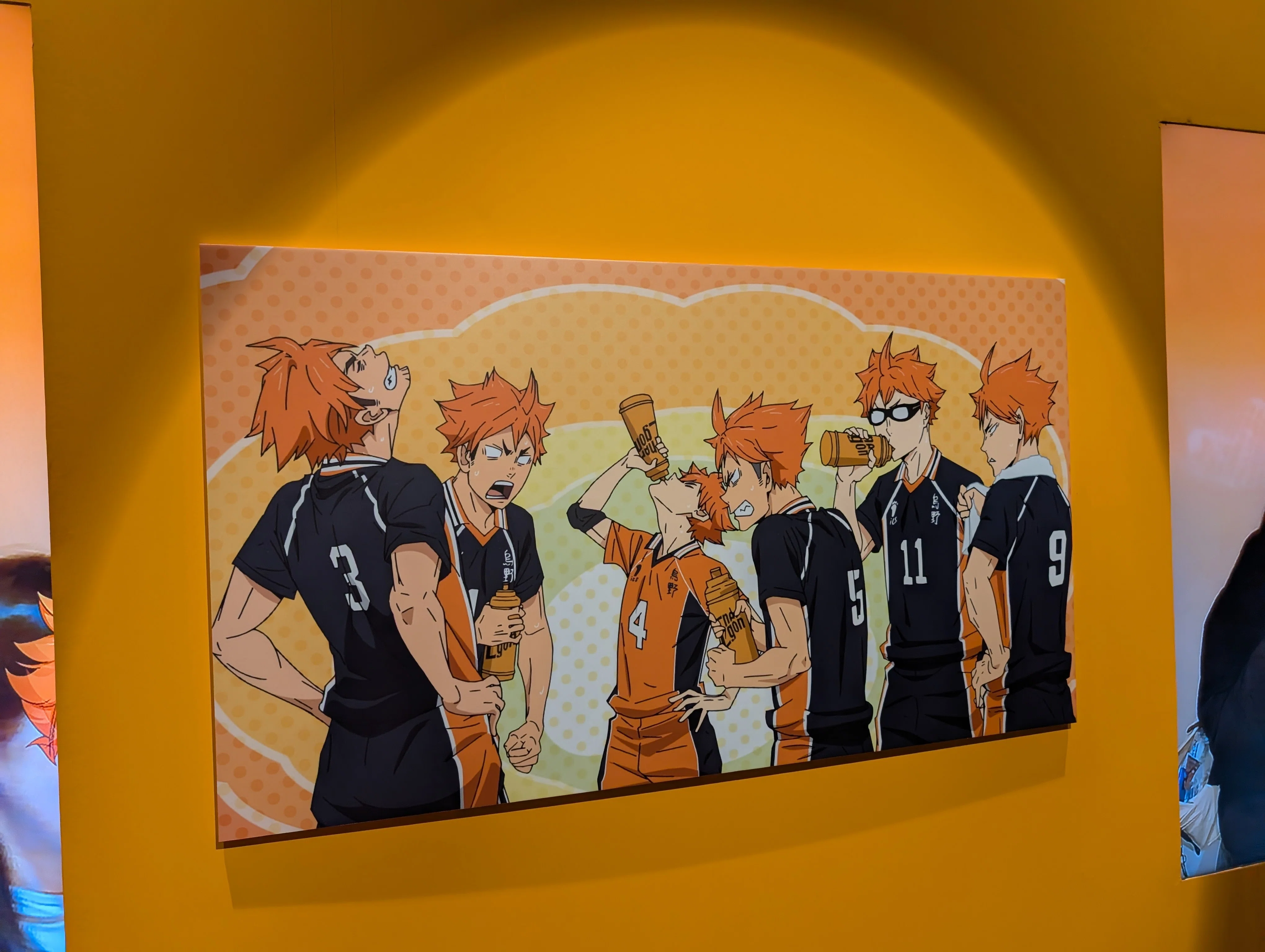 ゴミ捨て場の決戦展】ハイキュー世界へ入り込んだかのよう…！｜みーちゃん