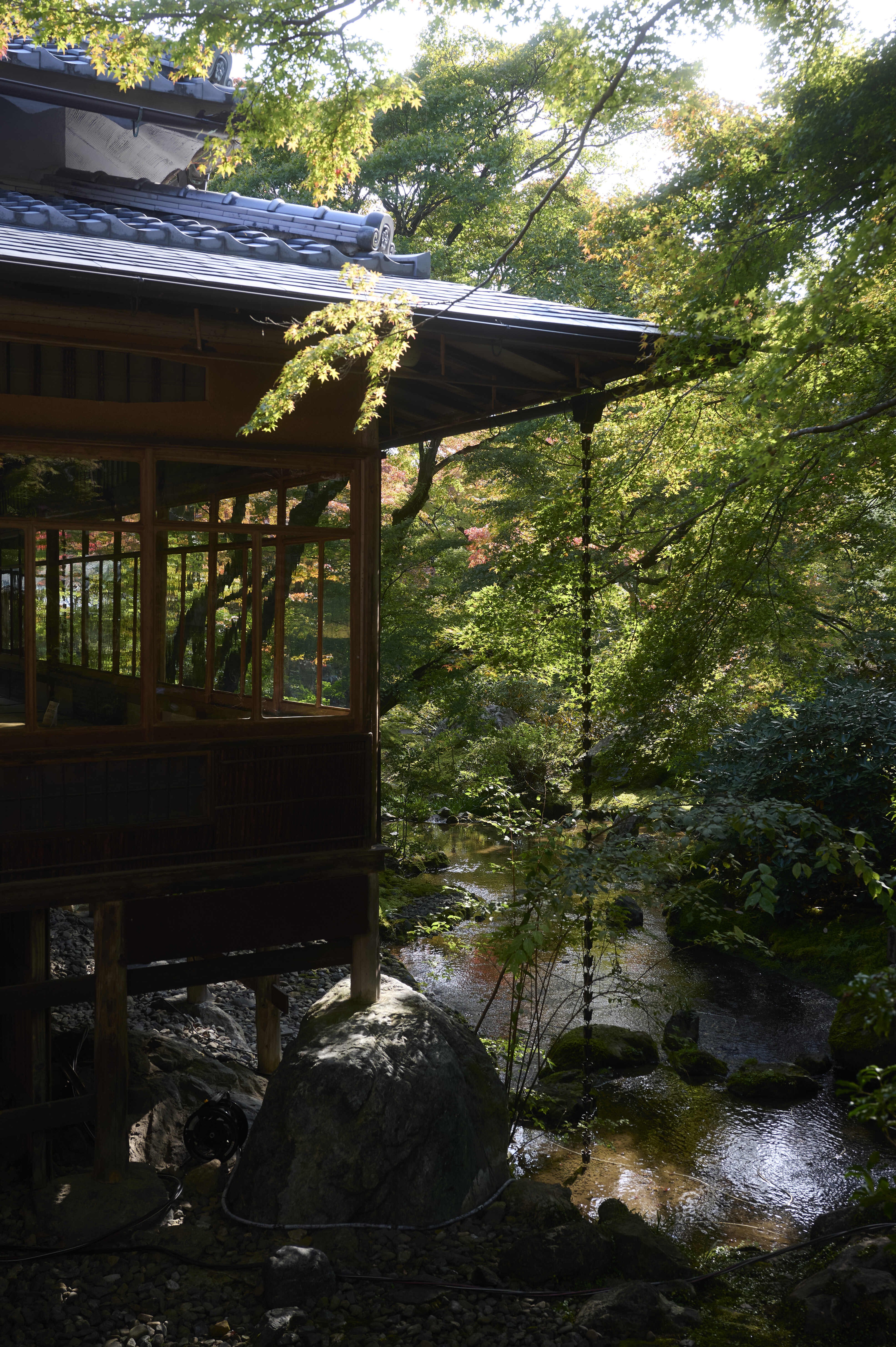 プリセット配布】 VSCOよ永遠に｜MASA