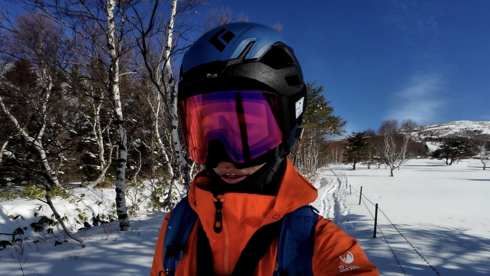 スキーステイック、山登る用な物です。 スキーステイック、山登る用な物です。