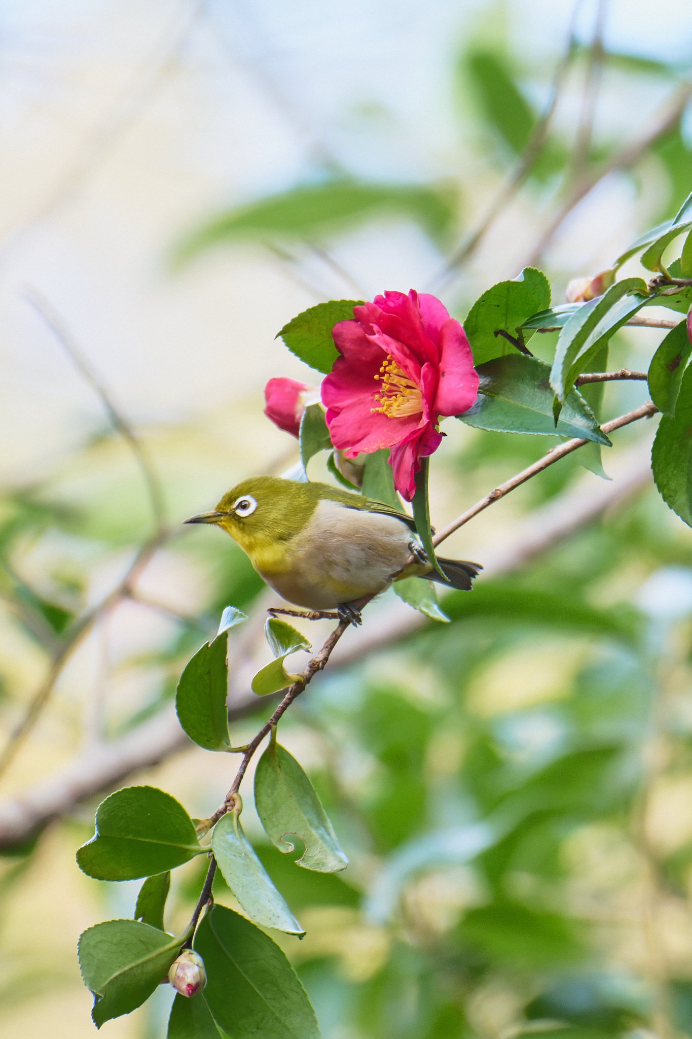 心の穴を埋めるために〜NIKKOR Z 180-600mm f/5.6-6.3 VR