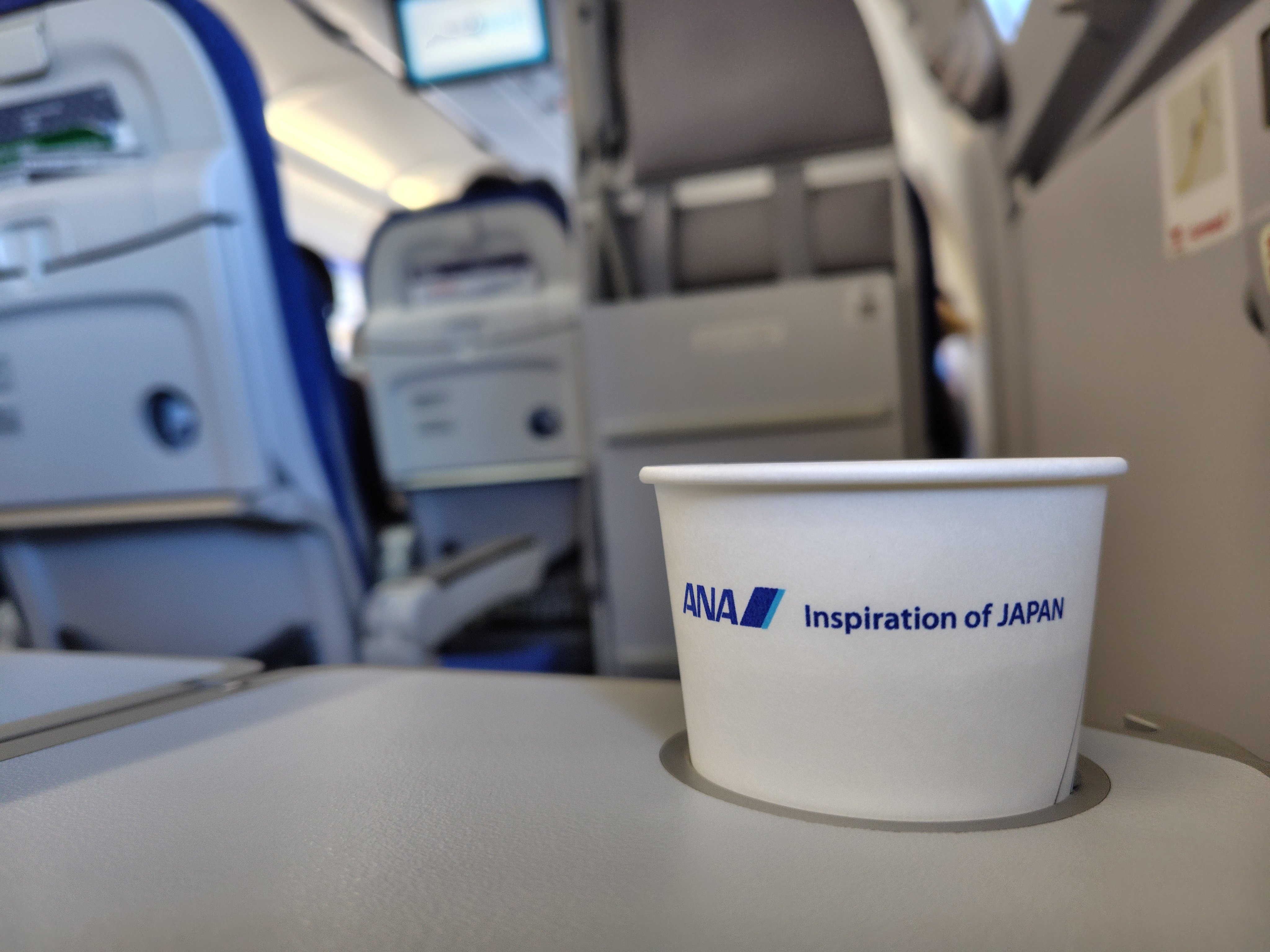 あんしゅの室内機 久しぶりにANAに乗ってみた｜Skyward