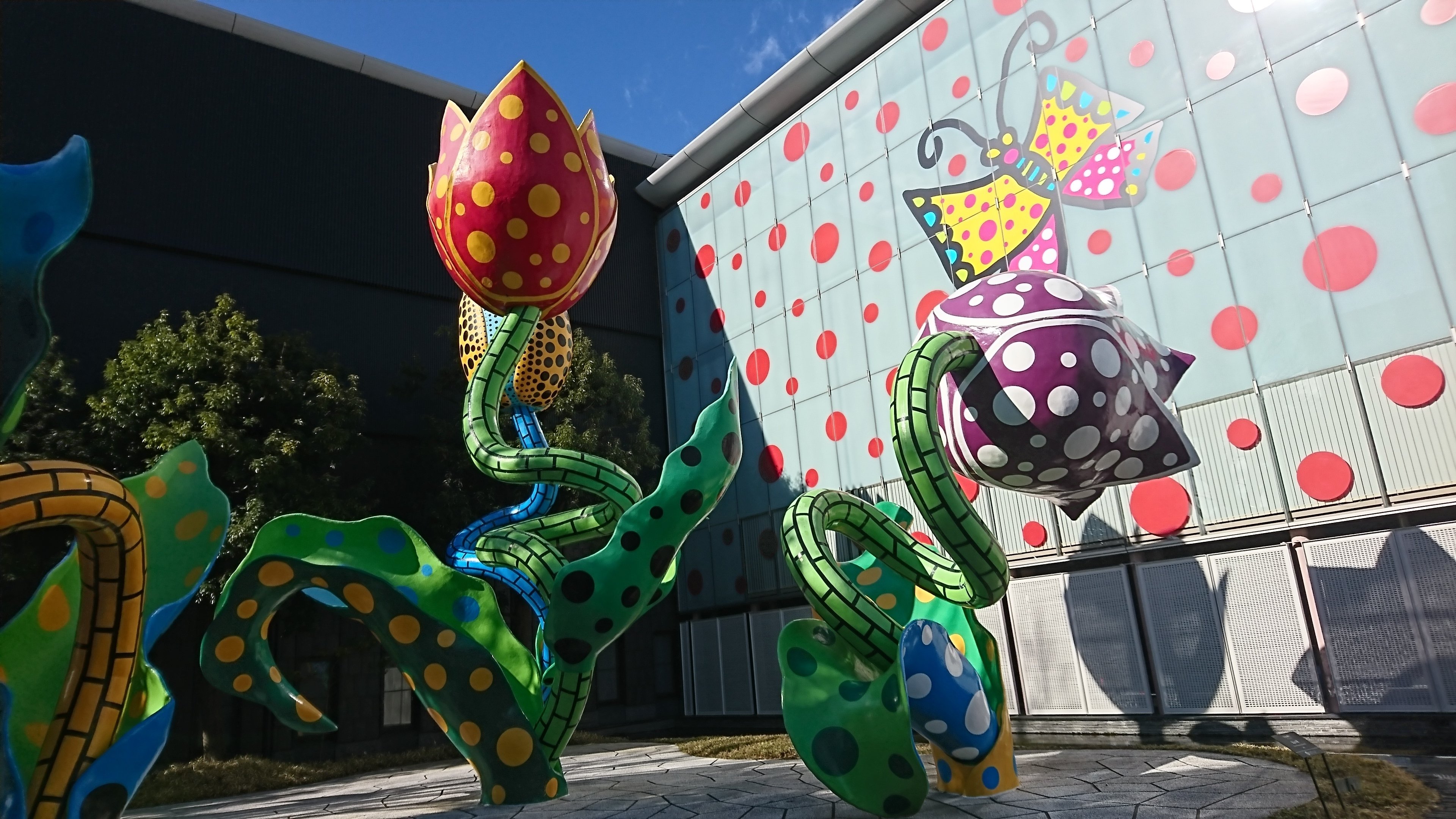 松本市美術館 草間彌生｜ルフ奈