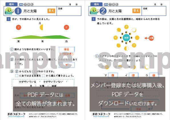 答え「小6・理科│月と太陽」2025.1.14公開分(全2枚)｜まめつぶワーク