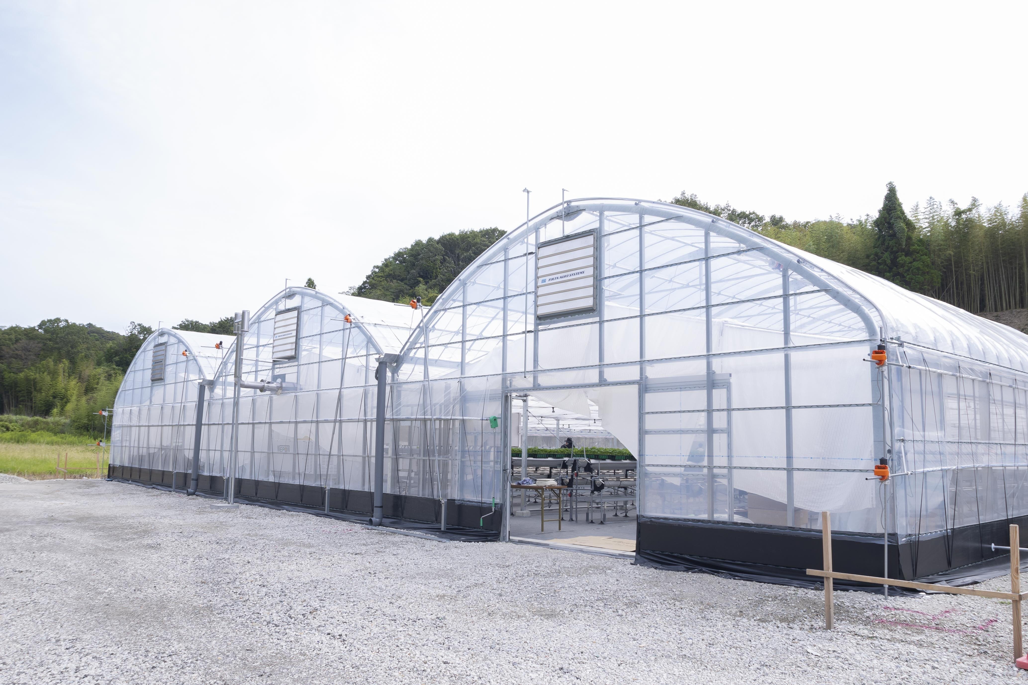 ネクシーズZERO」導入事例#1 建設会社がイチゴのハウス栽培をスタート