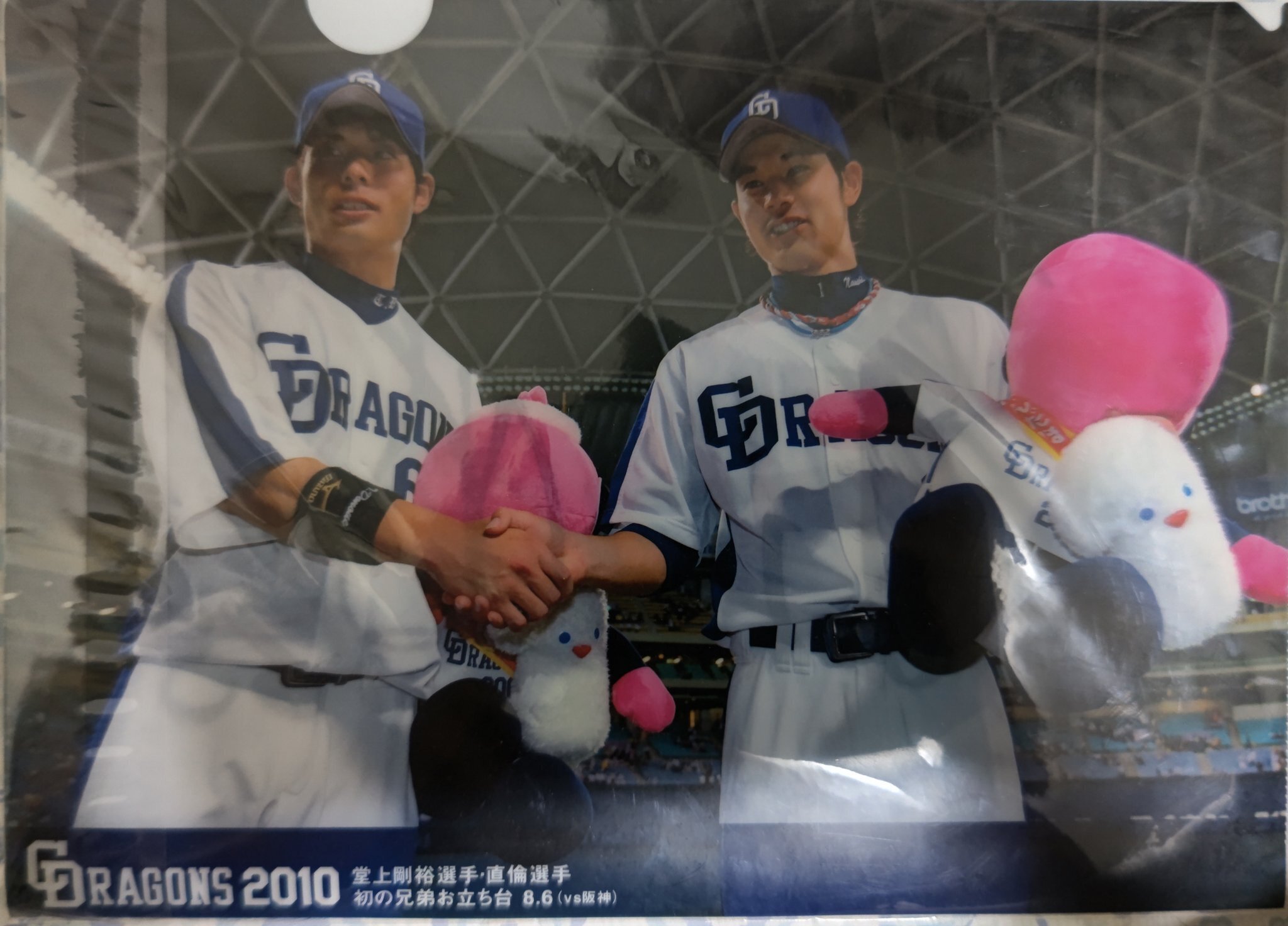 2010年の中日ドラゴンズ優勝の凄さについて語りたい｜平田神虫