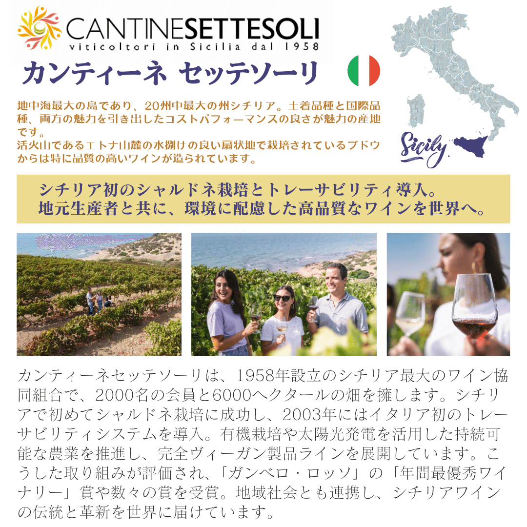 カンティーネ セッテソーリ】VEGAN認証取得！シチリアのカジュアル