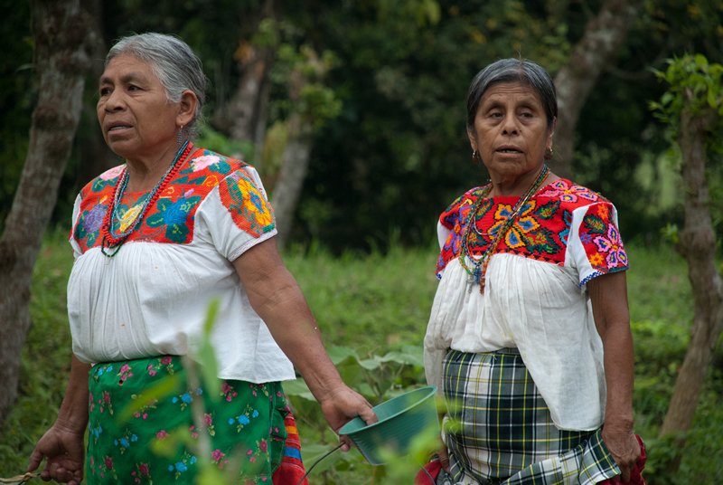 メキシコの民族｜在日メキシコ大使館