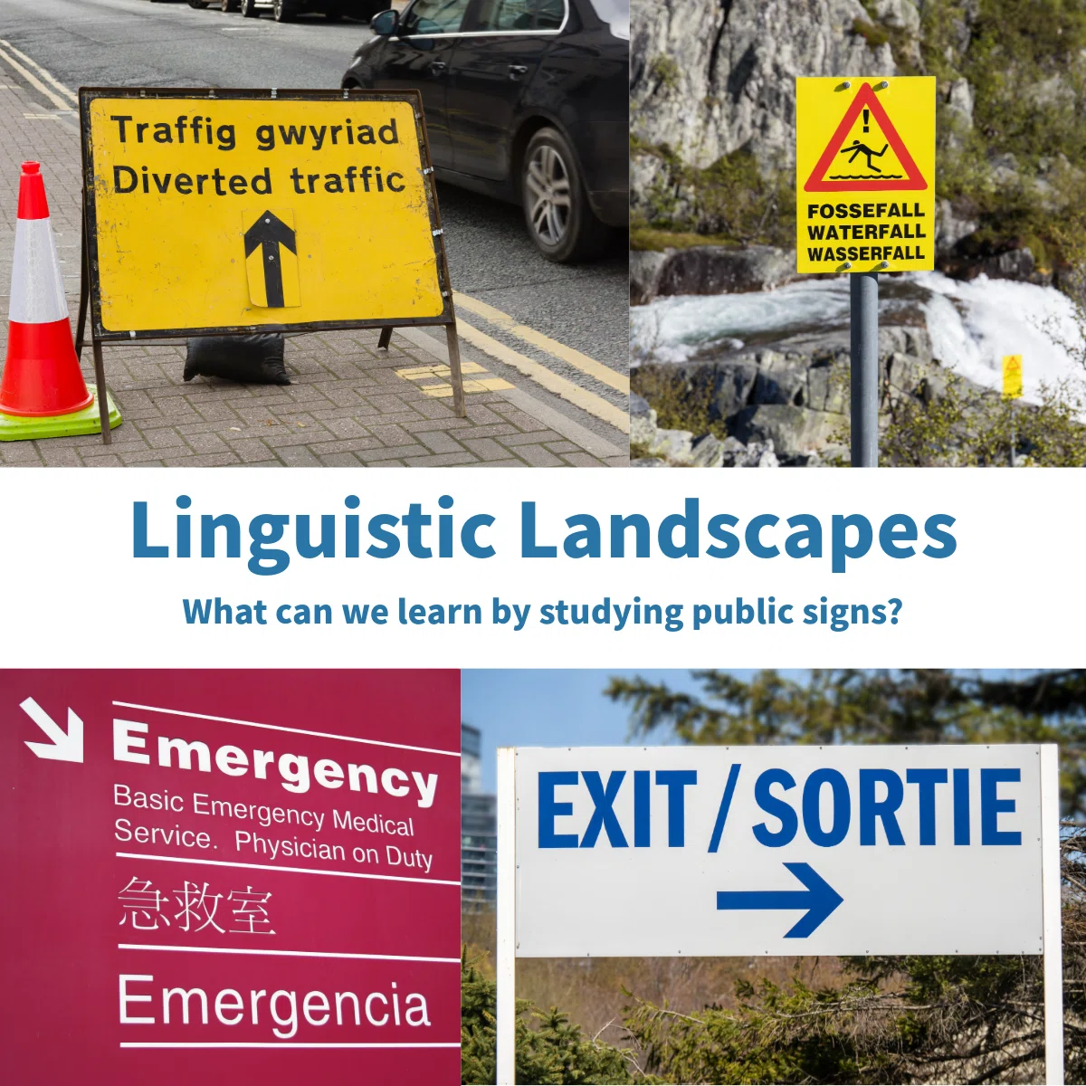 Linguistic Landscape: What can we learn by studying public signs