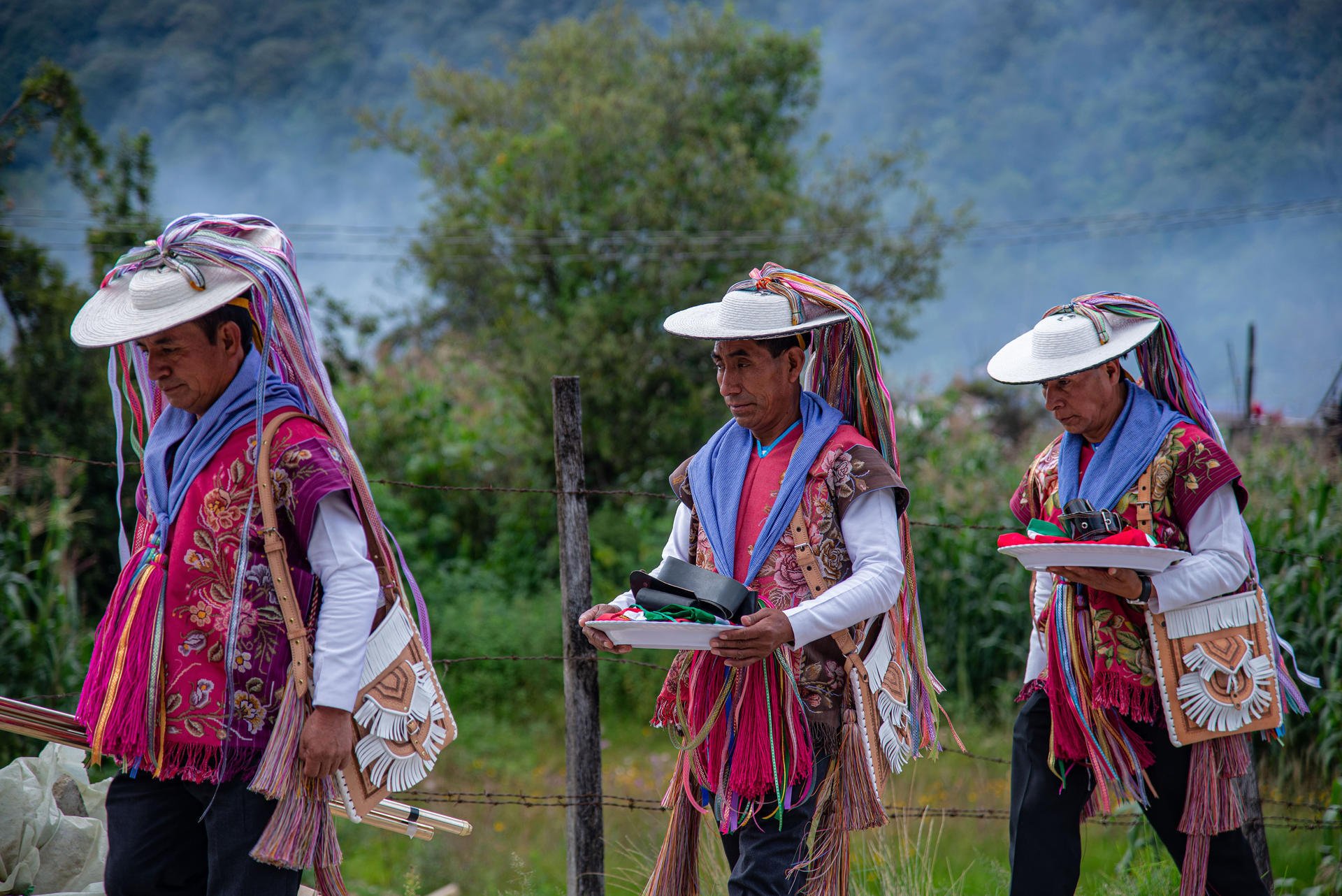 メキシコの民族｜在日メキシコ大使館
