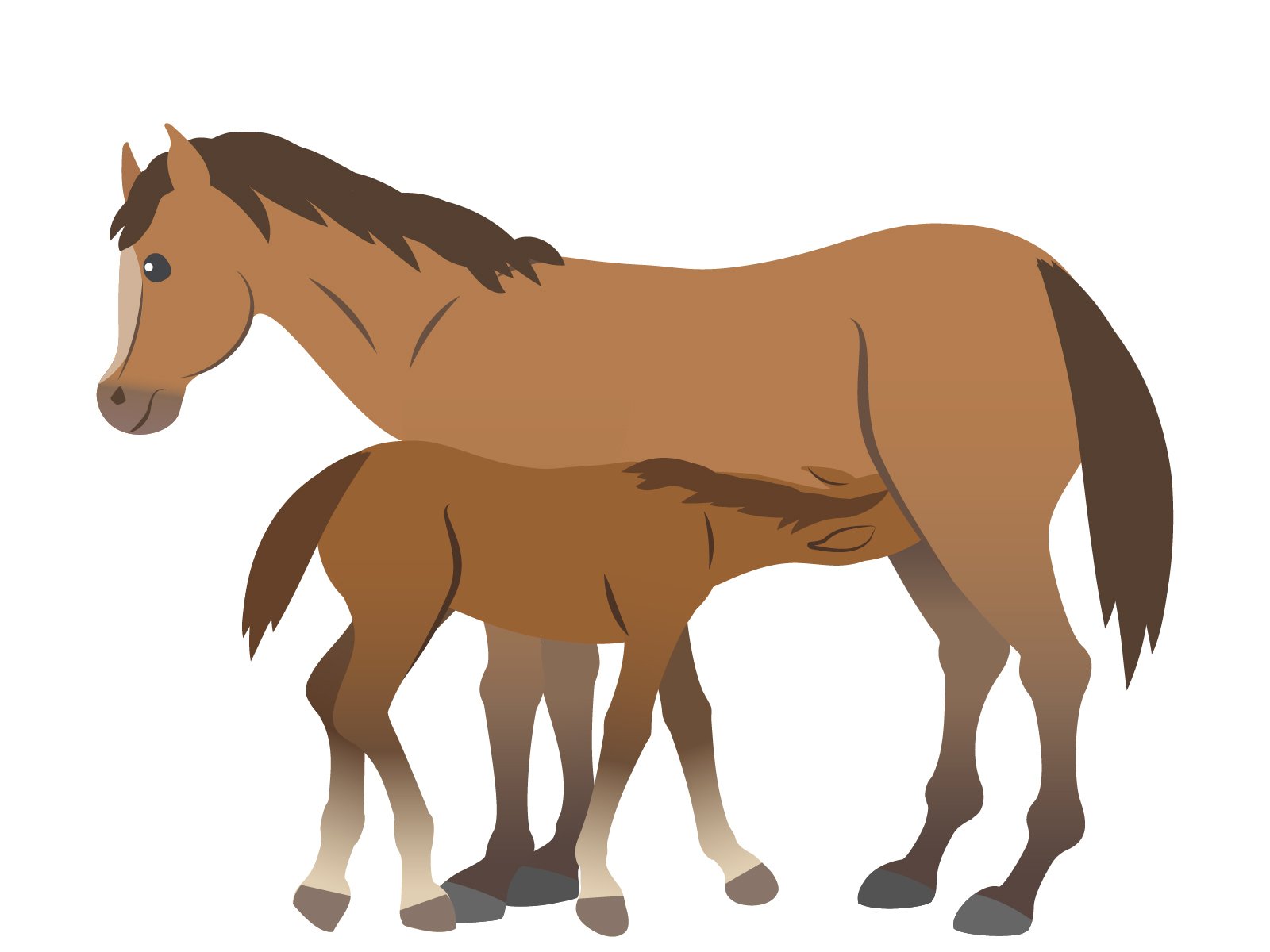 乗らない馬好きはグリーンチャンネル無料放送部分こそが楽しい｜馬と