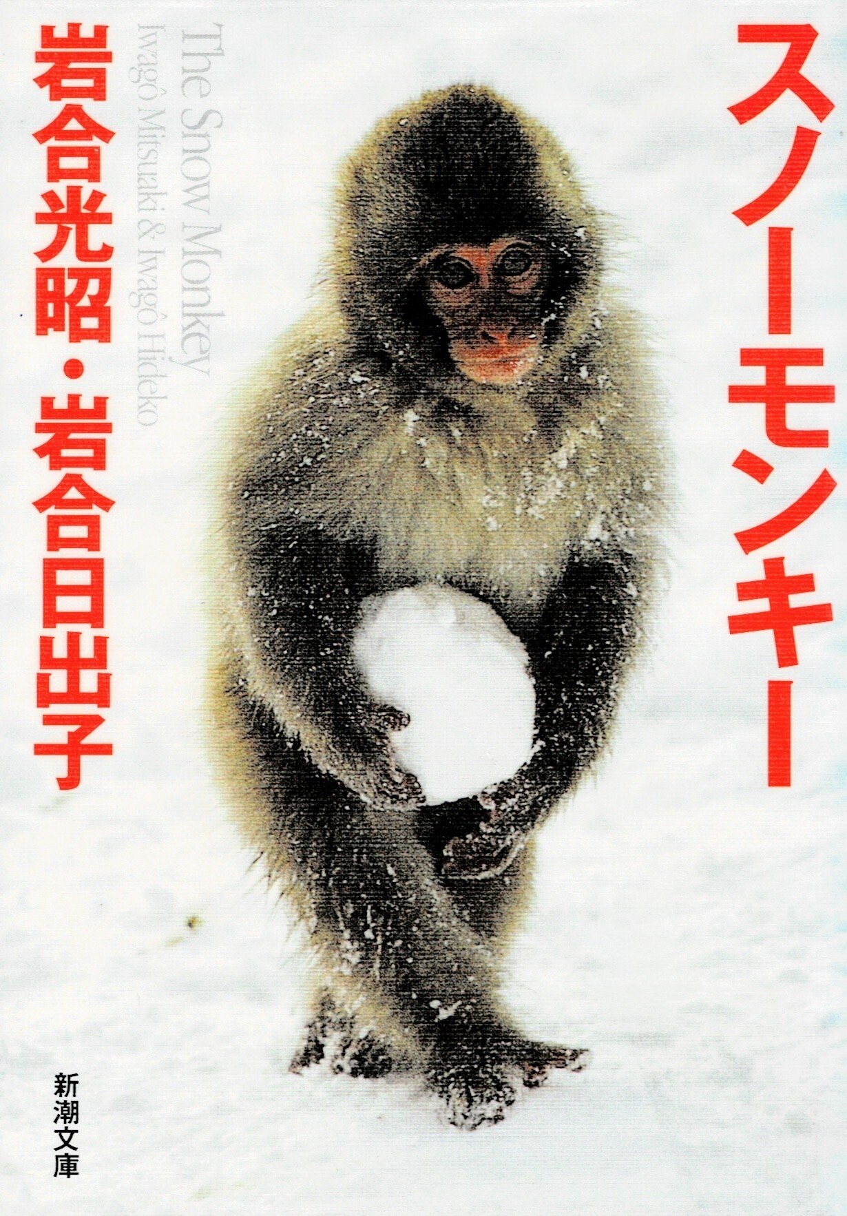 読書感想 スノーモンキー｜星先かおる