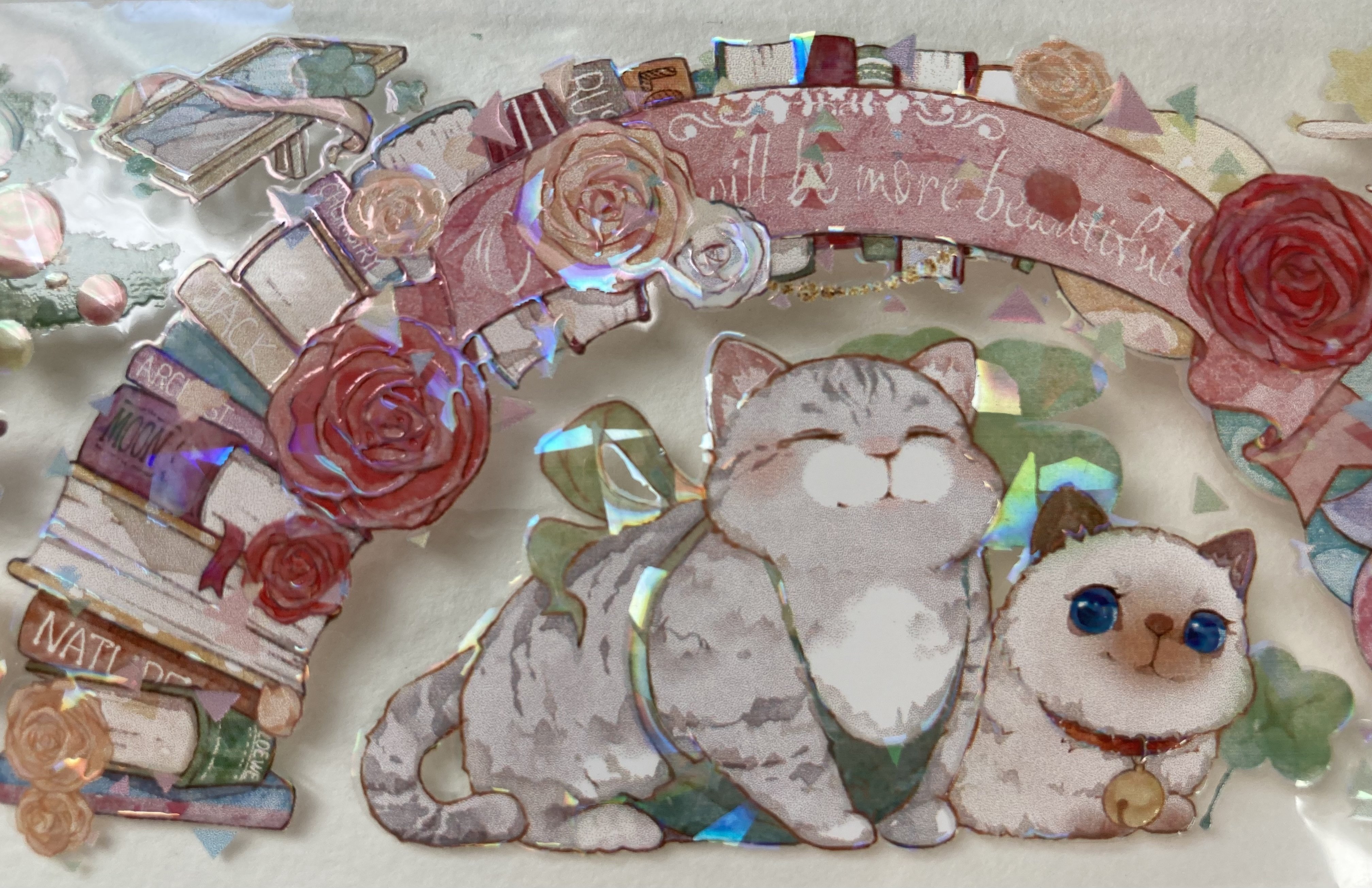海外マステ ♡ cat knows all 他マステ ロールシールセット 海外マステ ♡ cat knows all 他マステ ロールシールセット