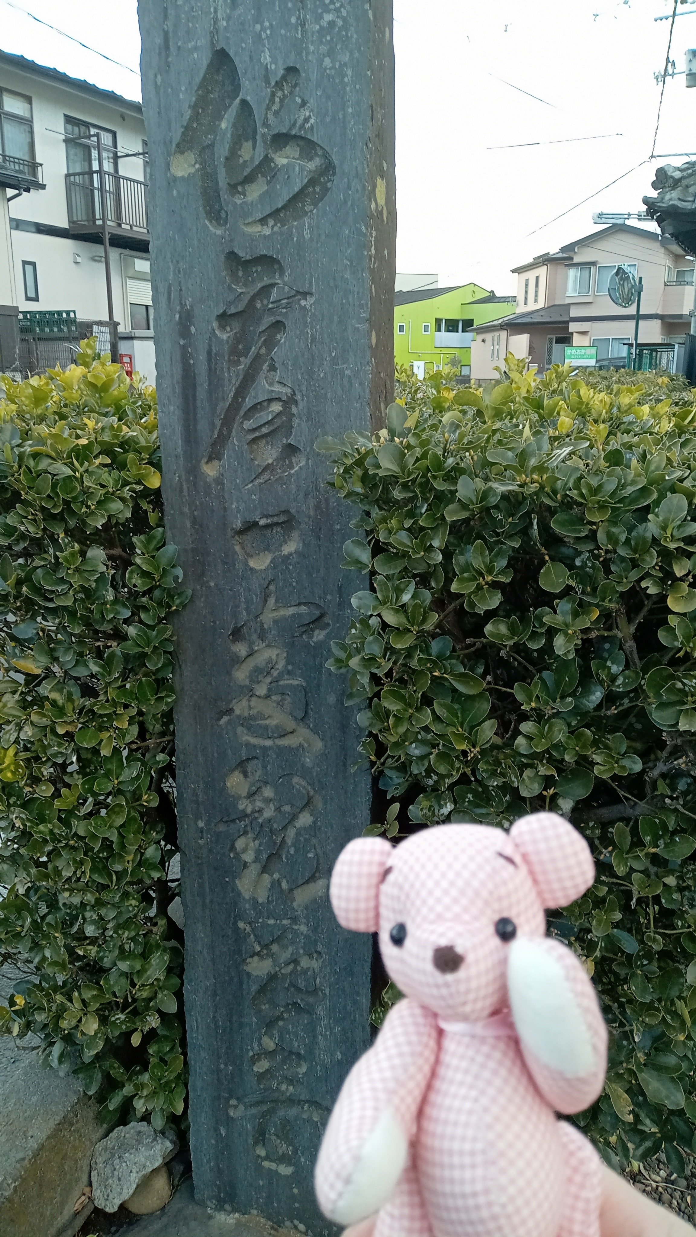 おかげくまの初観音参り｜おかげくま参拝