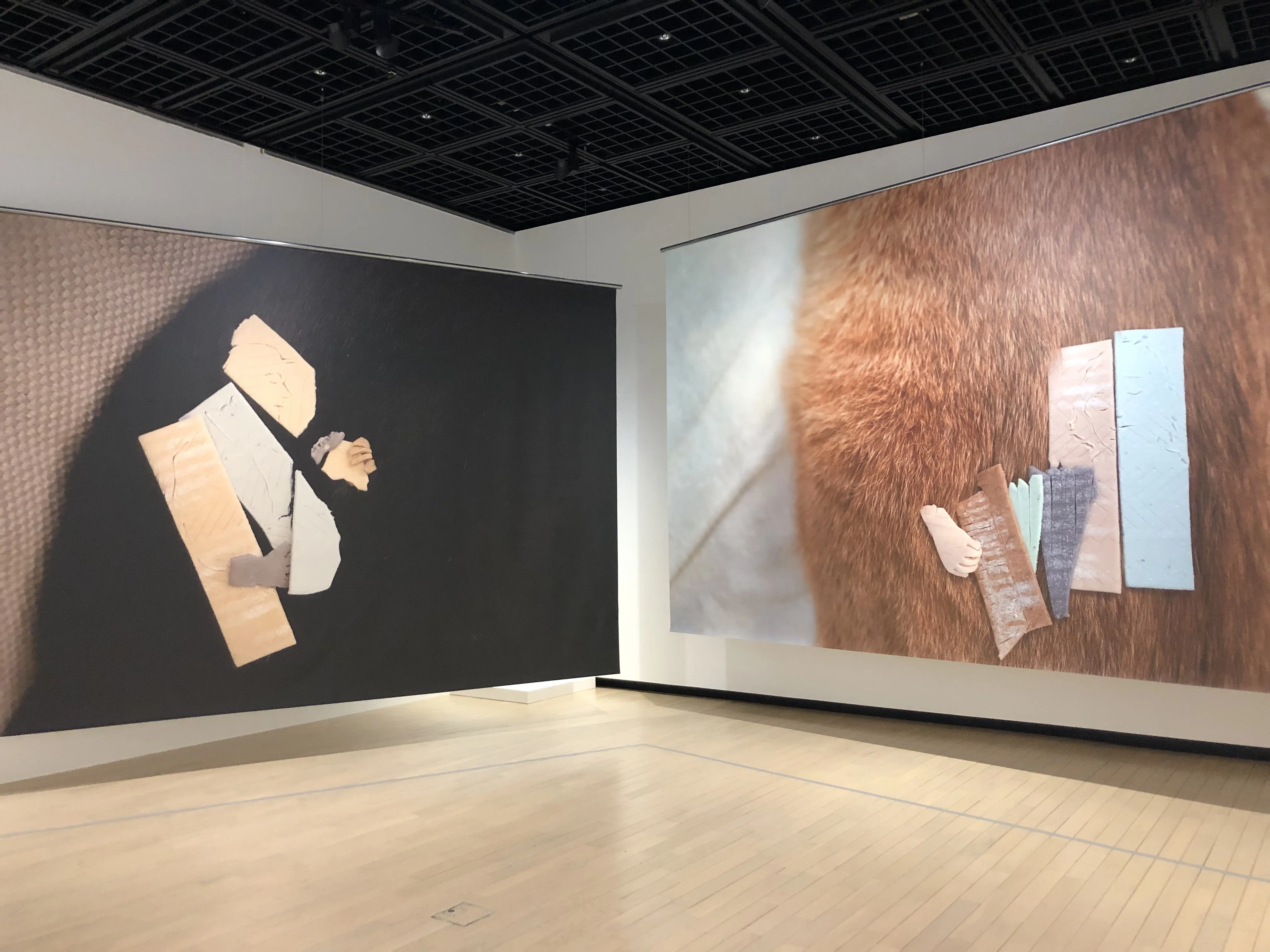 日本の新進作家vol.21「現在地のまなざし」東京都写真美術館｜武中ゆいか