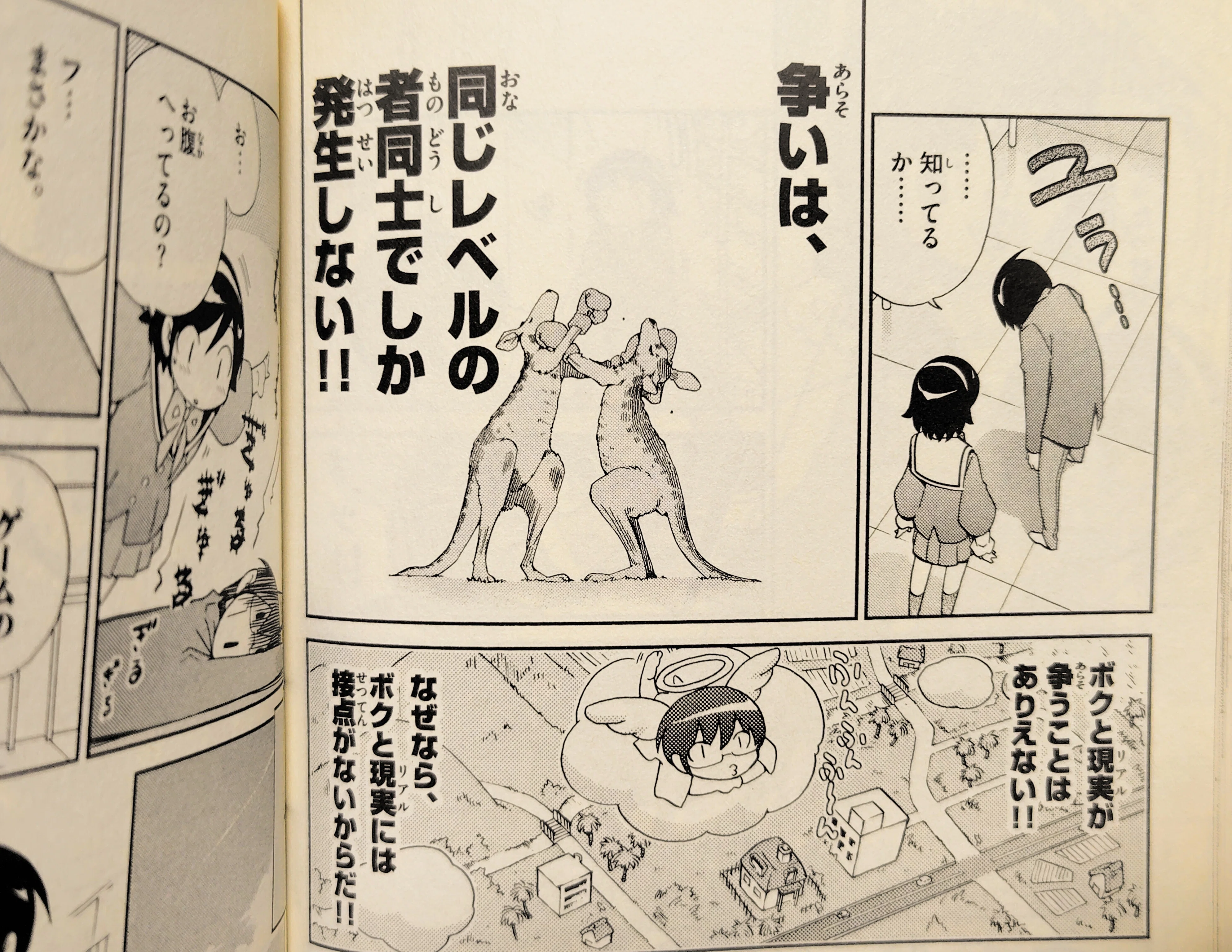 感想】『神のみぞ知るセカイ』読みました！｜とく